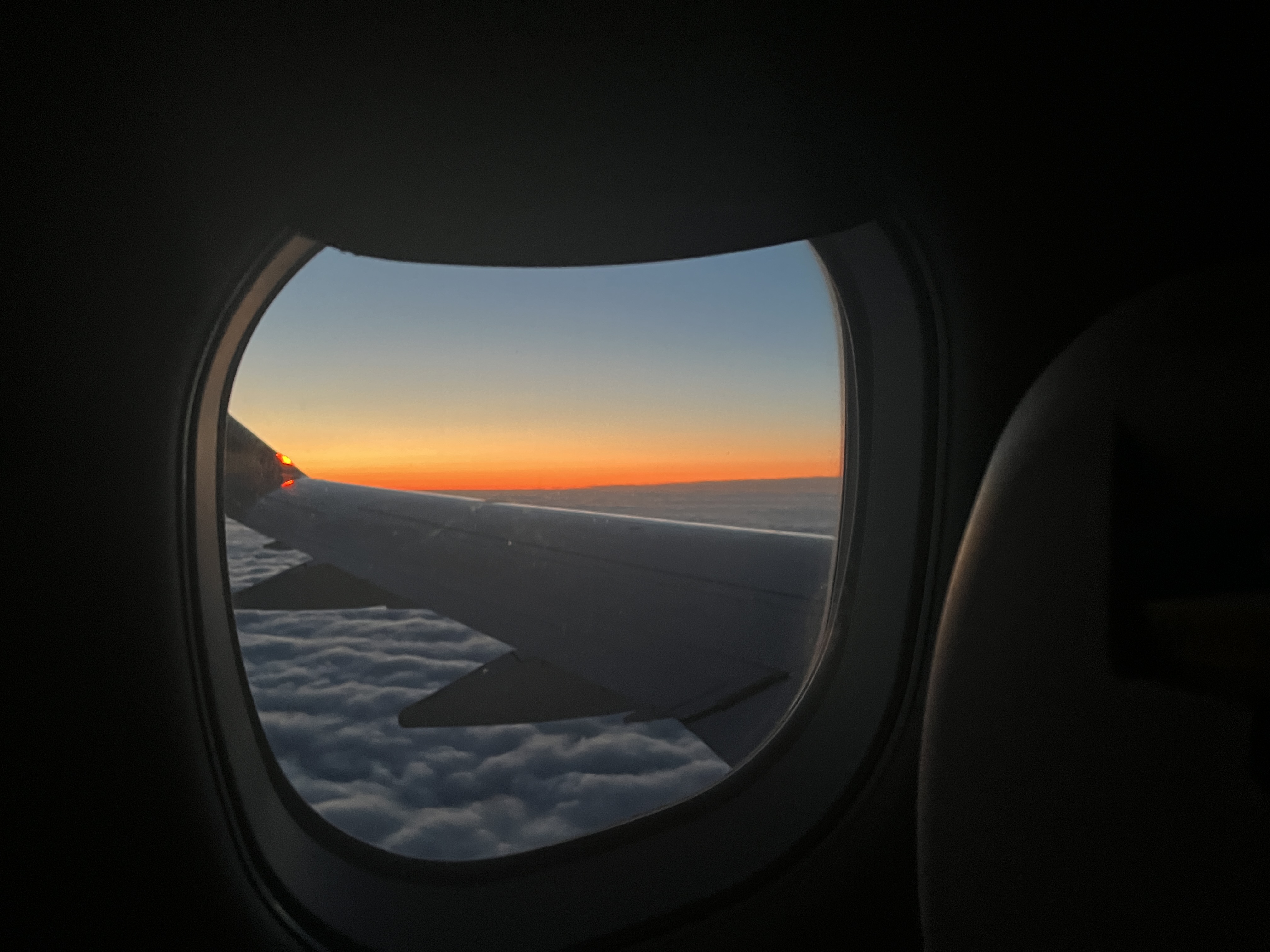 Homeward bound
