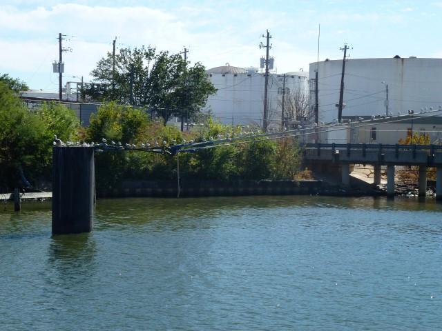 Houston Ship Channel Tour