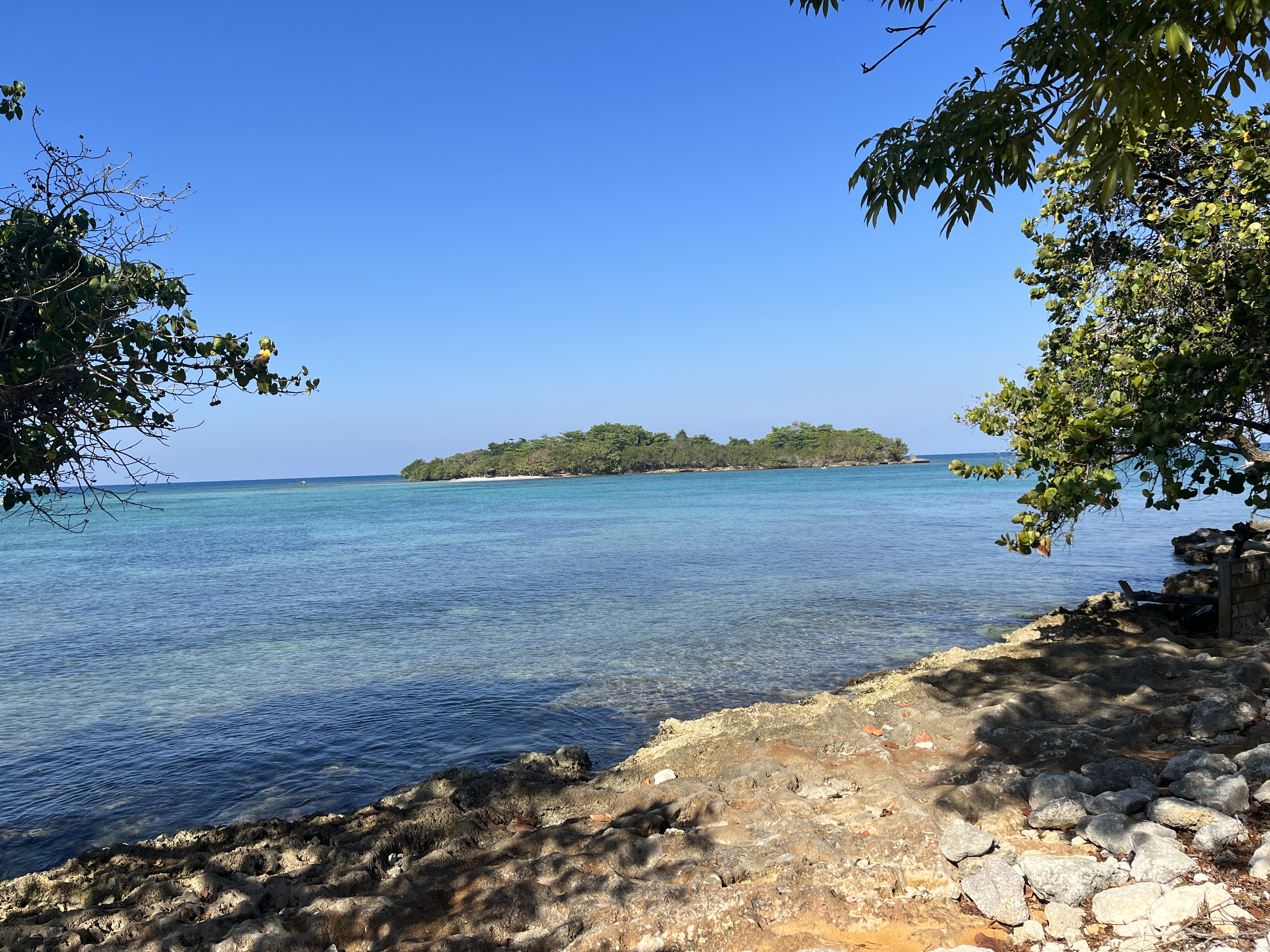 How much for the island?