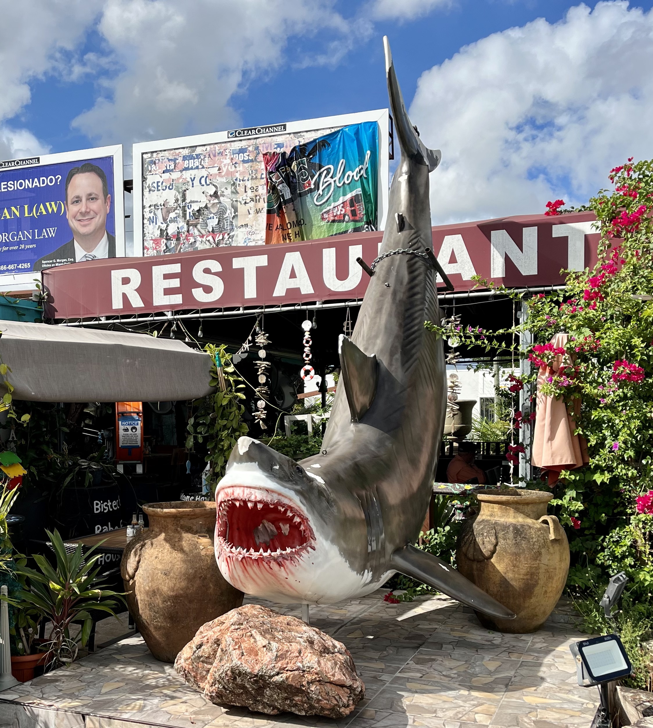 How we knew we picked the right restaurant