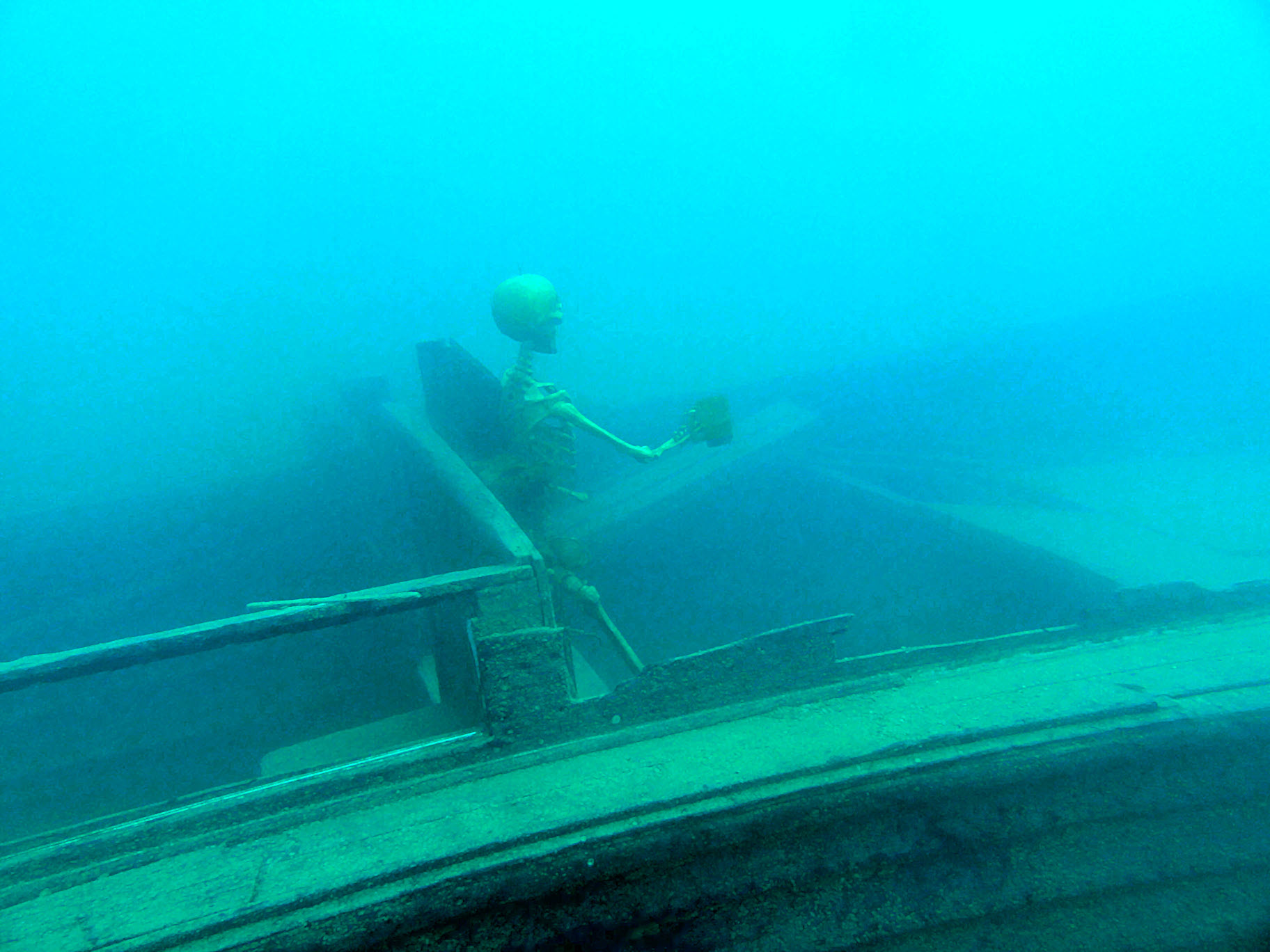 I don't trust this guy's driving abilities