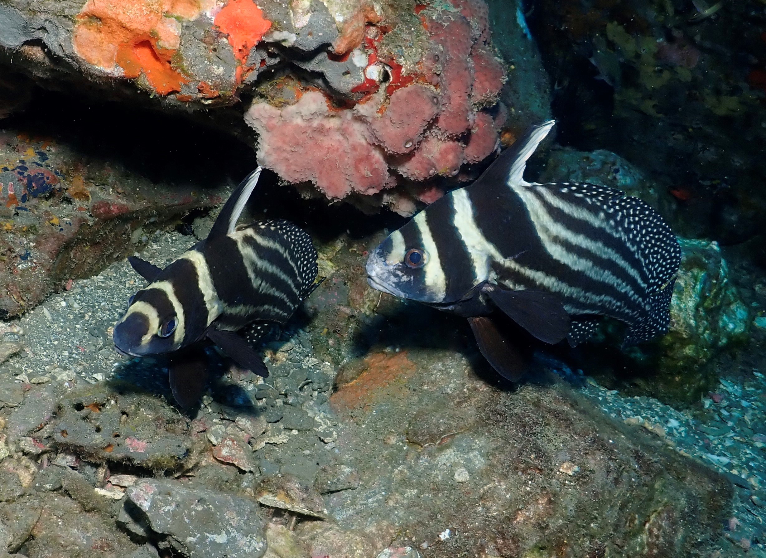 I don't wanna work...