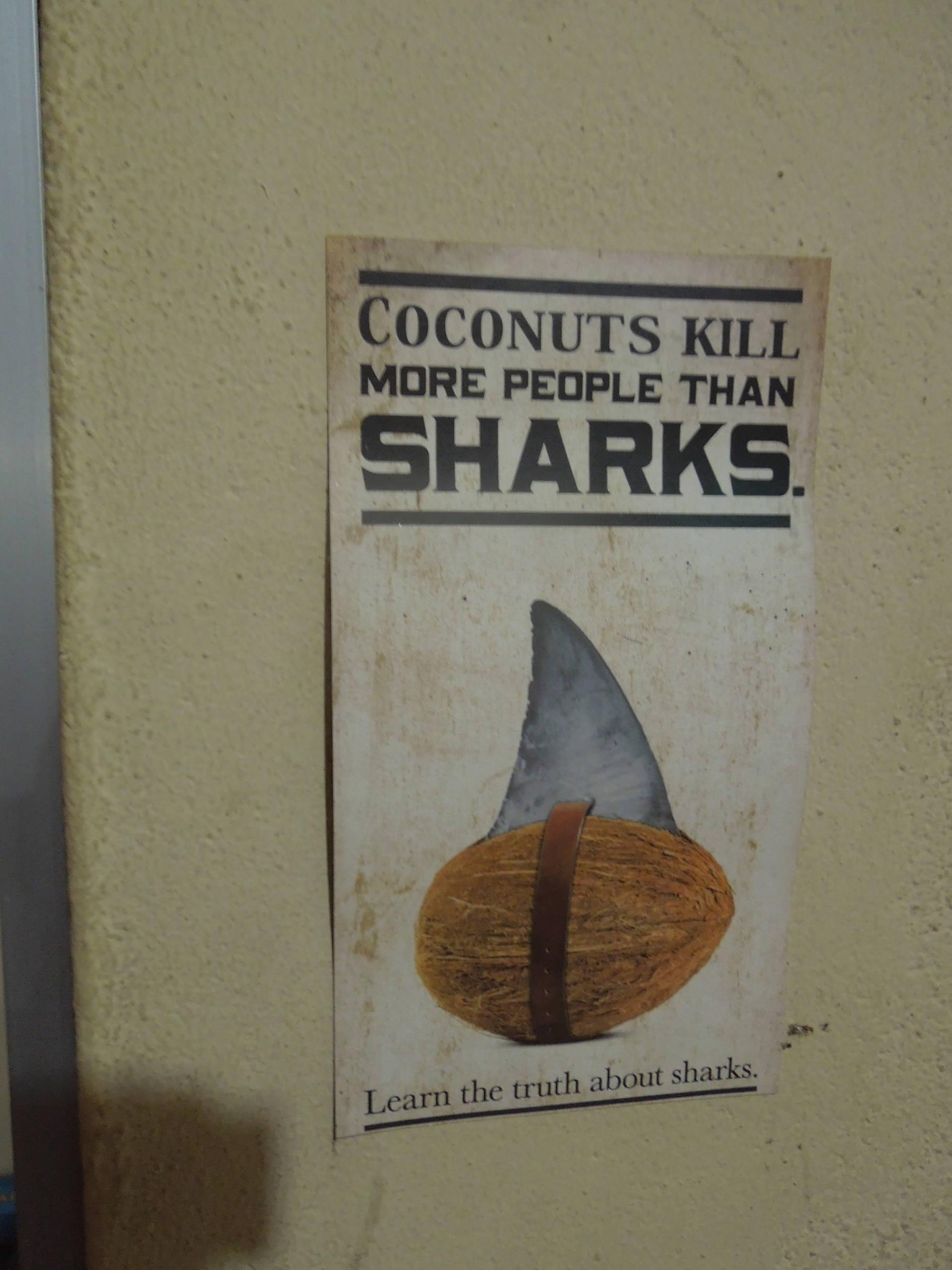 I wonder if we can sell the Chinese coconut soup?