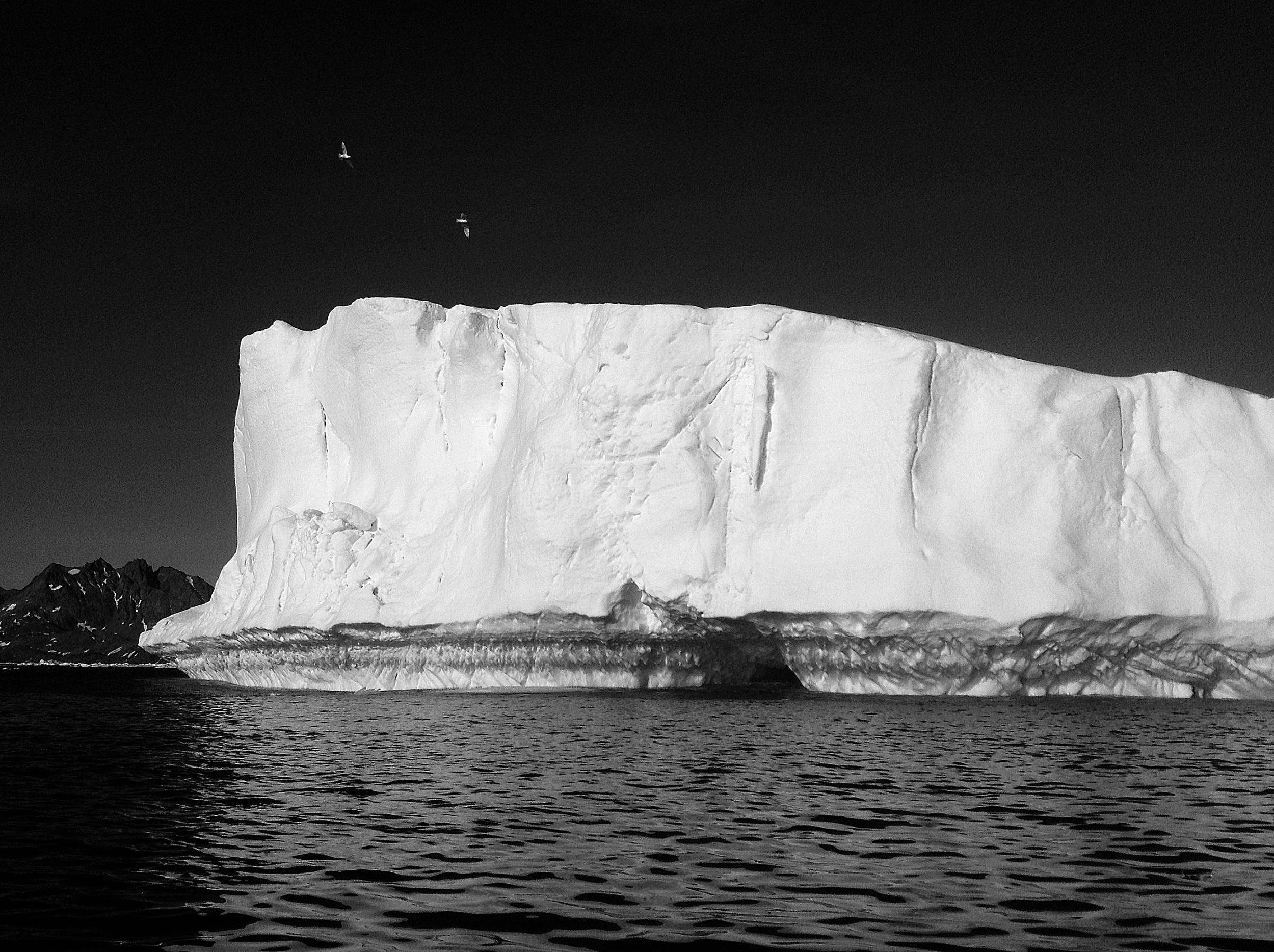 Iceberg