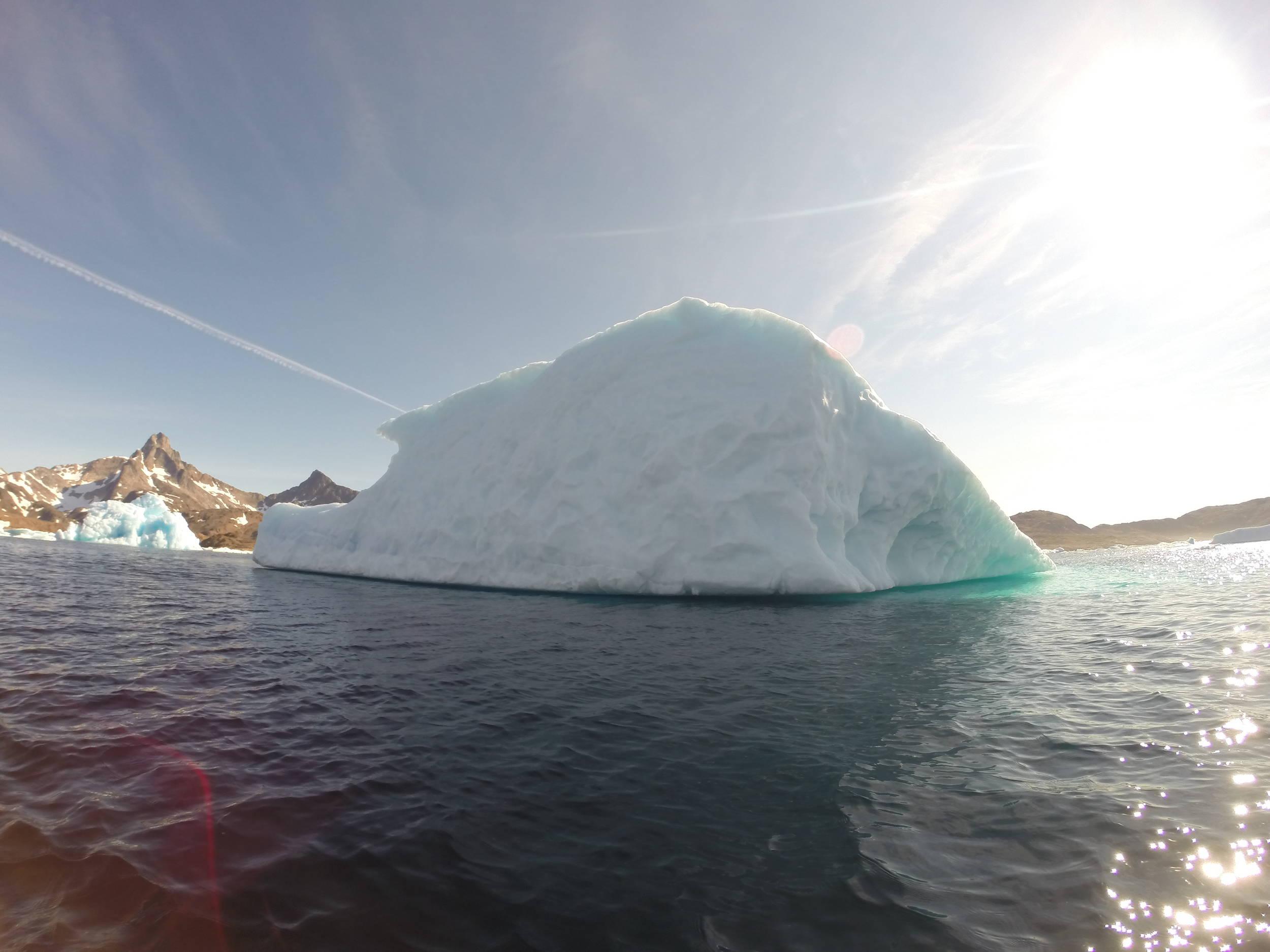 Iceberg