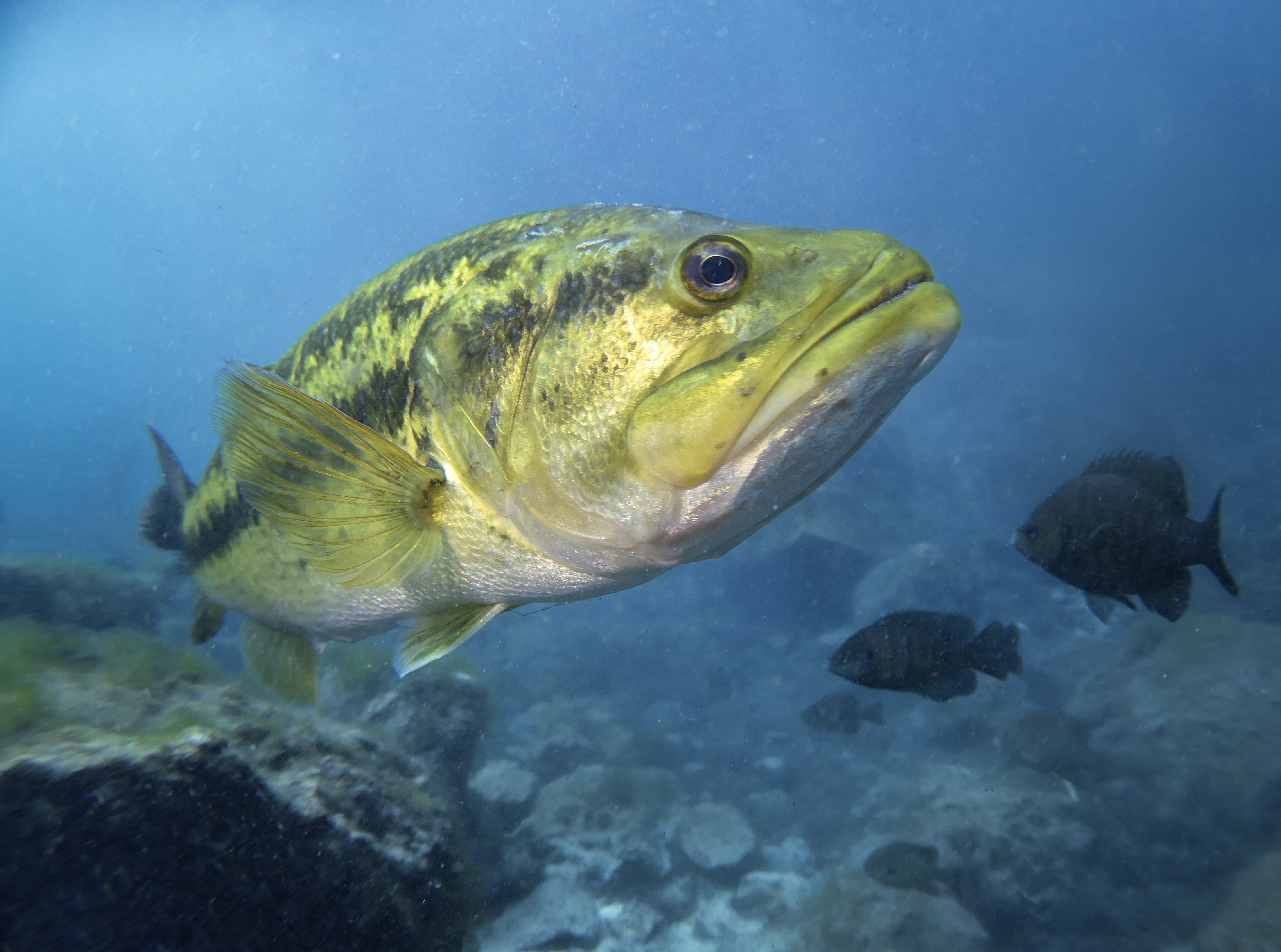 I'm here for my photo shoot