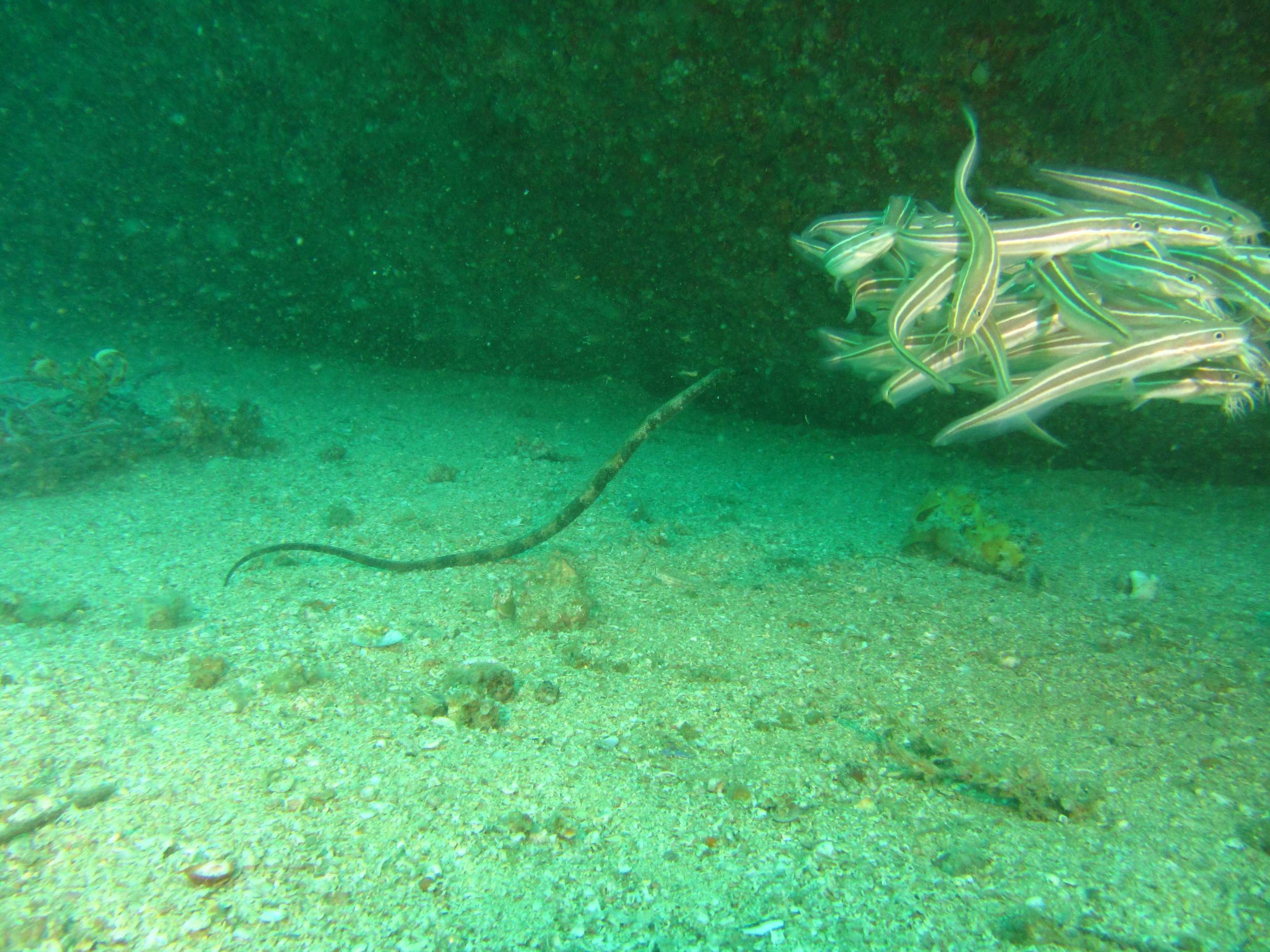 image15