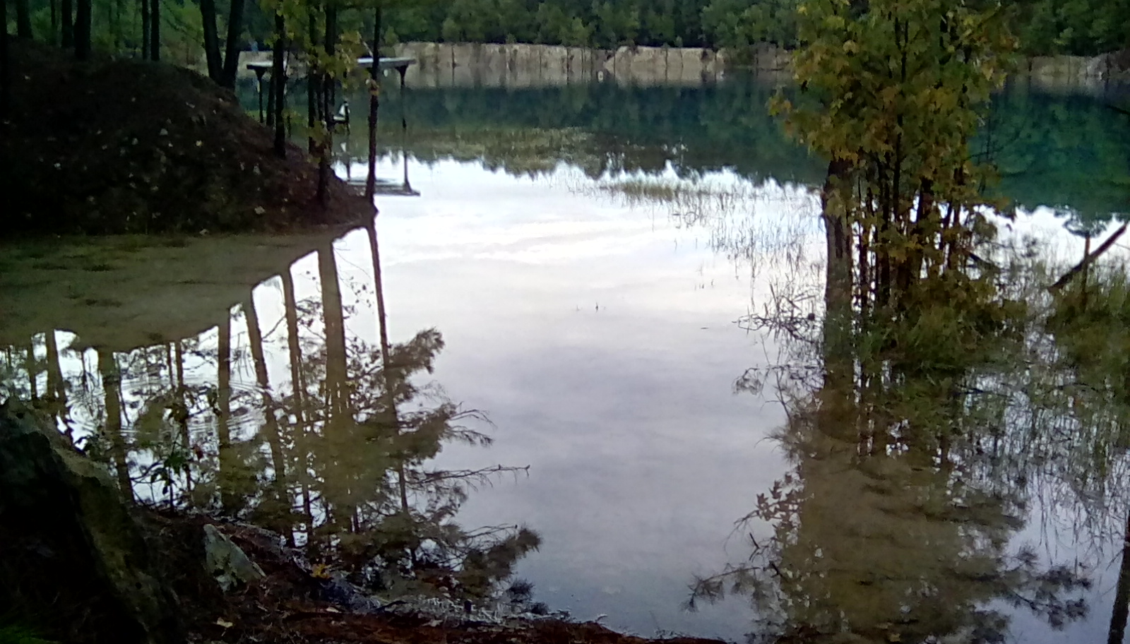 IMG_20181104_074722_hdr[1]