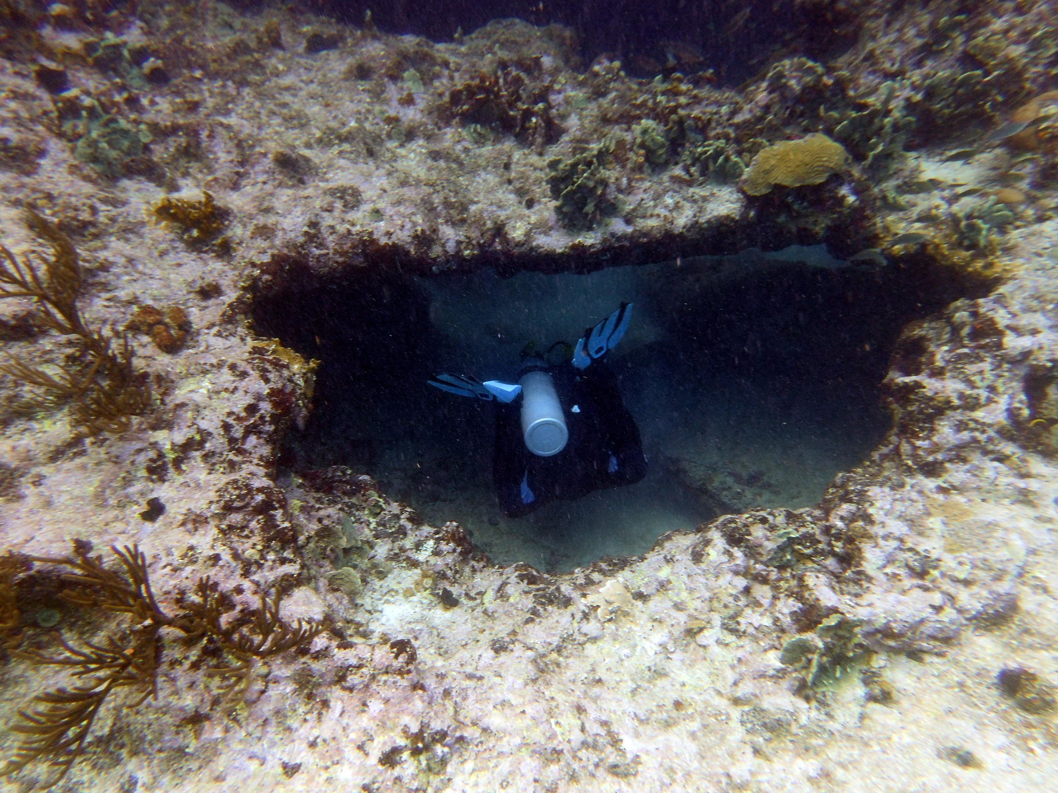 Into the cave