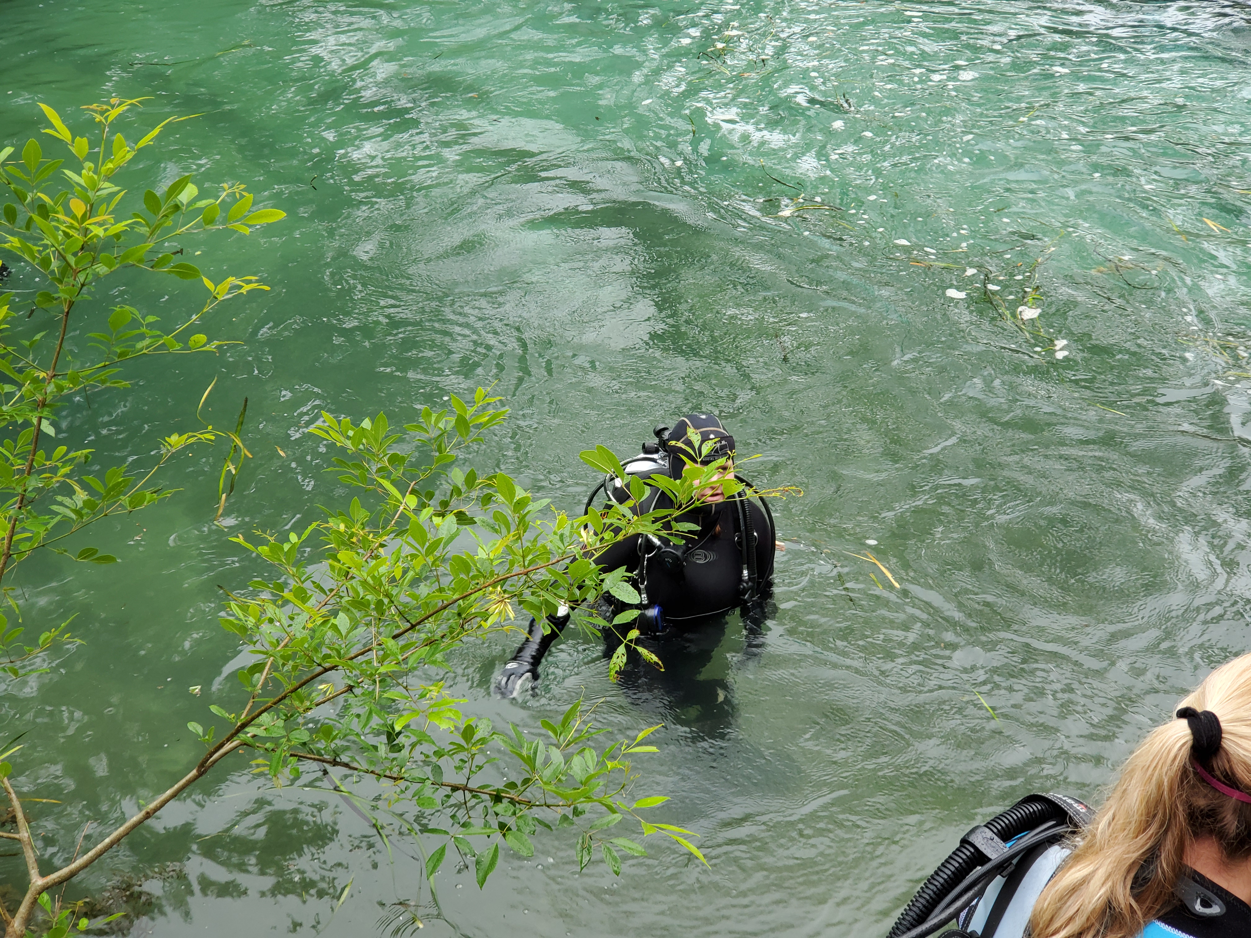Is That A Water Siren Behind That Tree