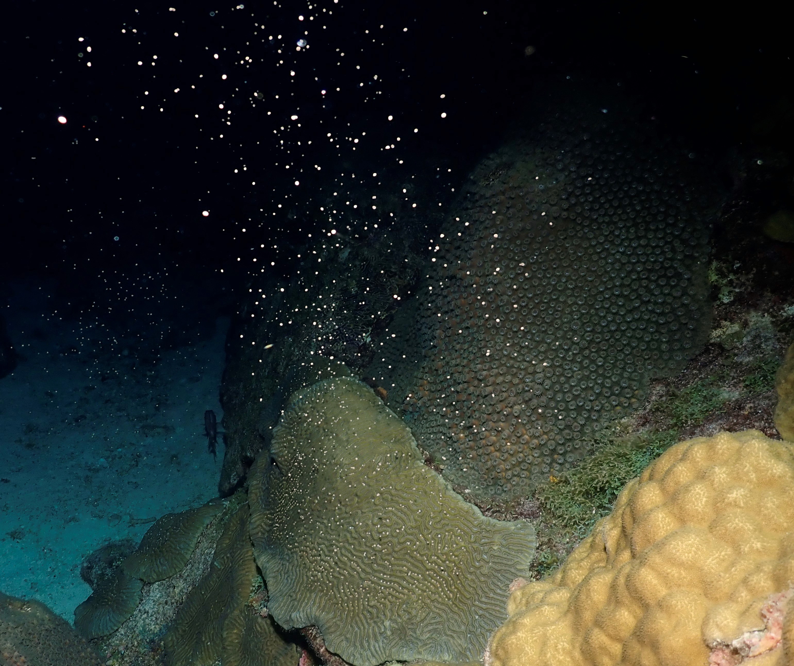 It's the girls' turn!