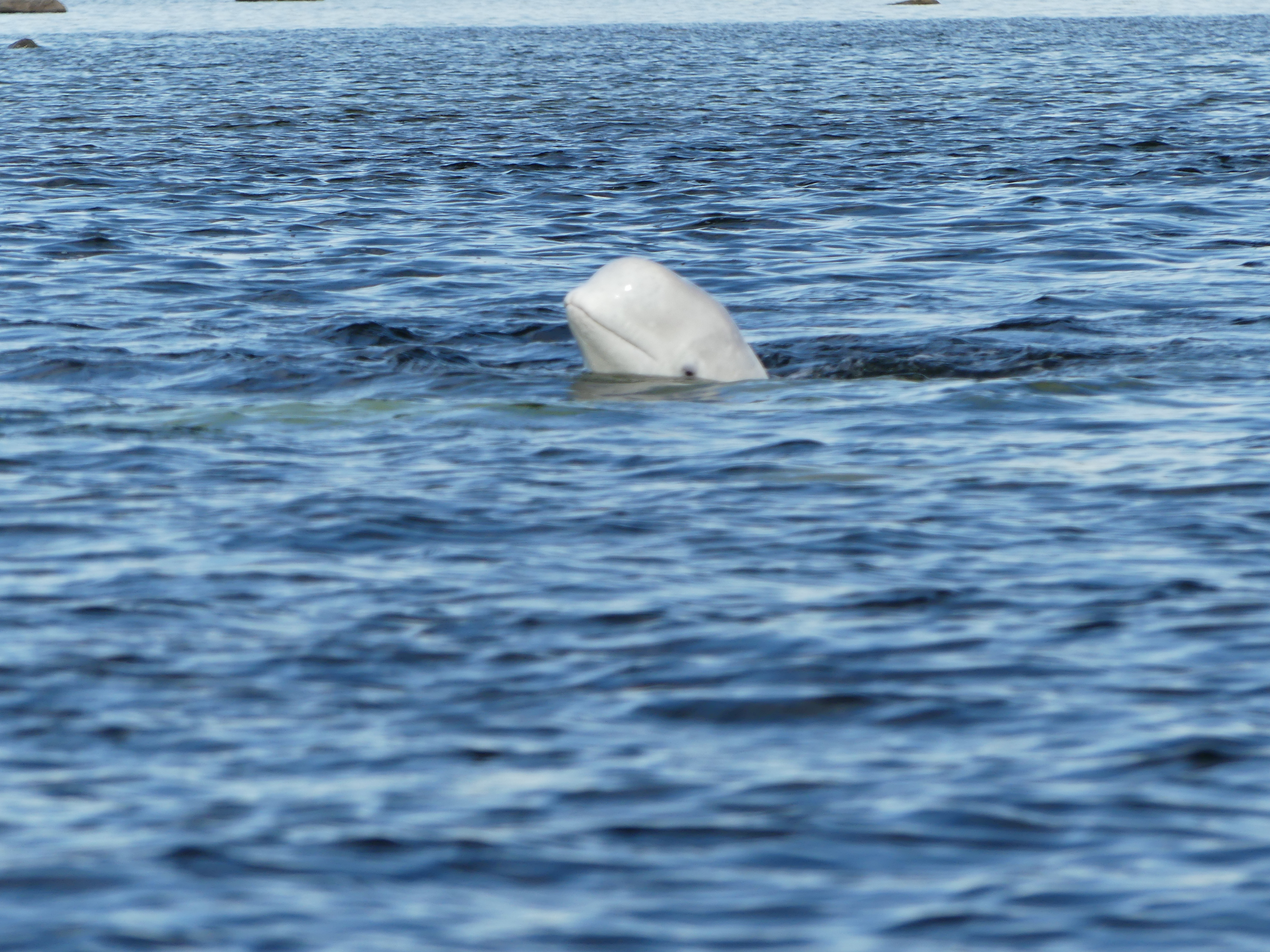 I've got my eye on you