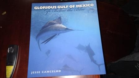 Jan 2016 - Glorious Gulf of Mexico by Jesse Cancelmo