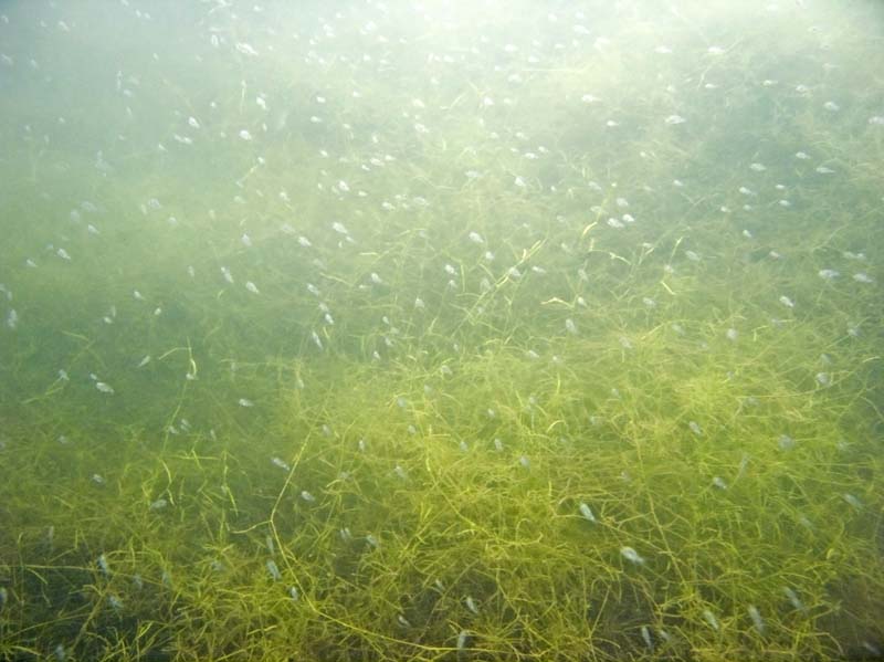 Joe Burnworth, author of "No Safe Harbor"