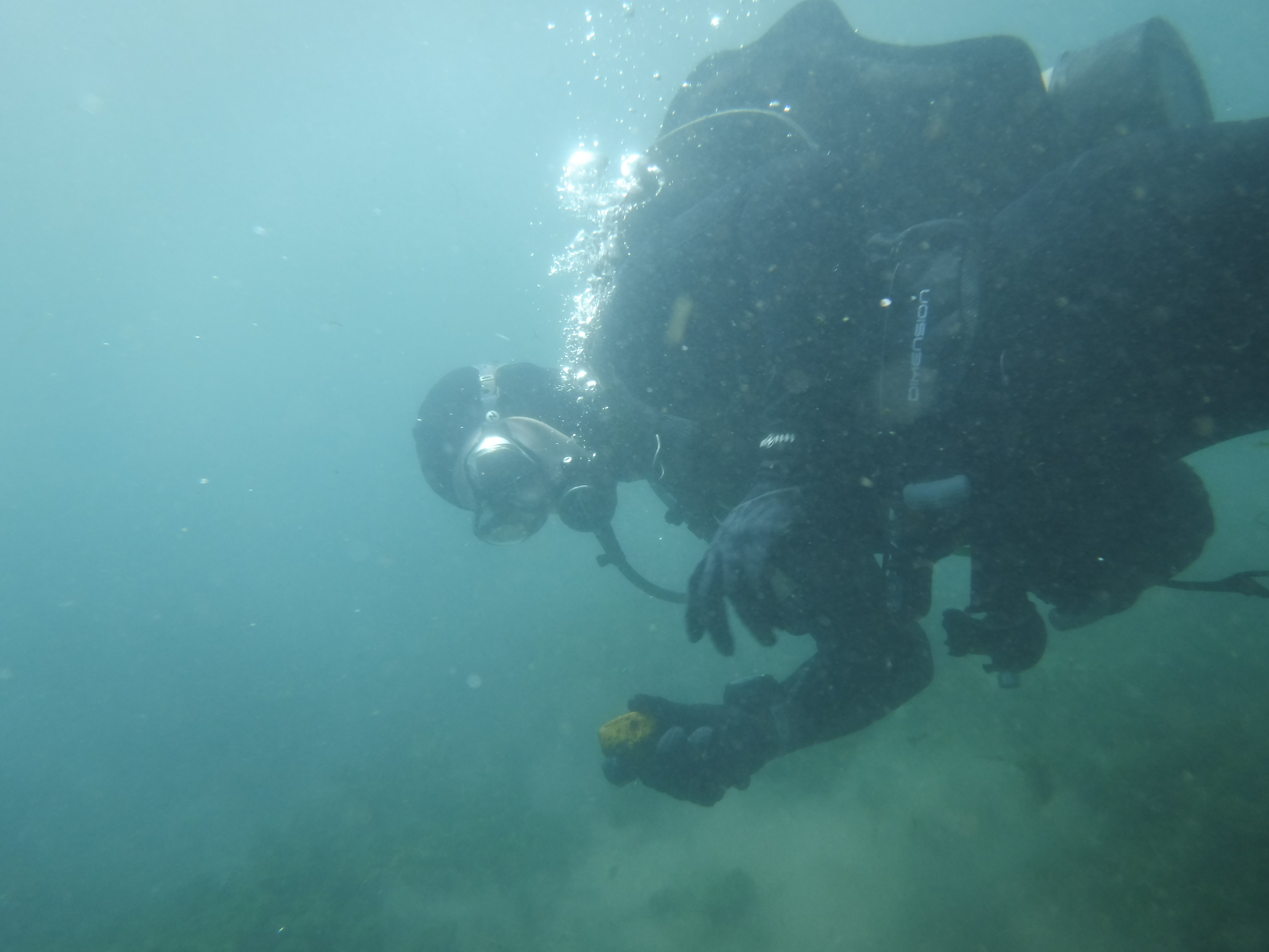 JPipes Finds A Pet Rock