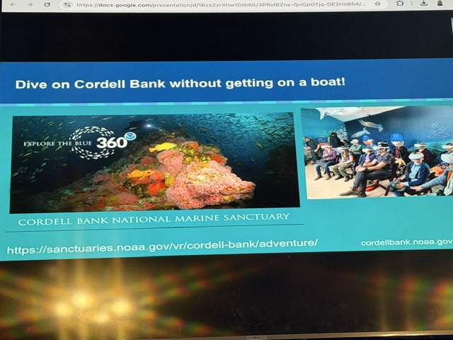June presentation by Jenny Stock