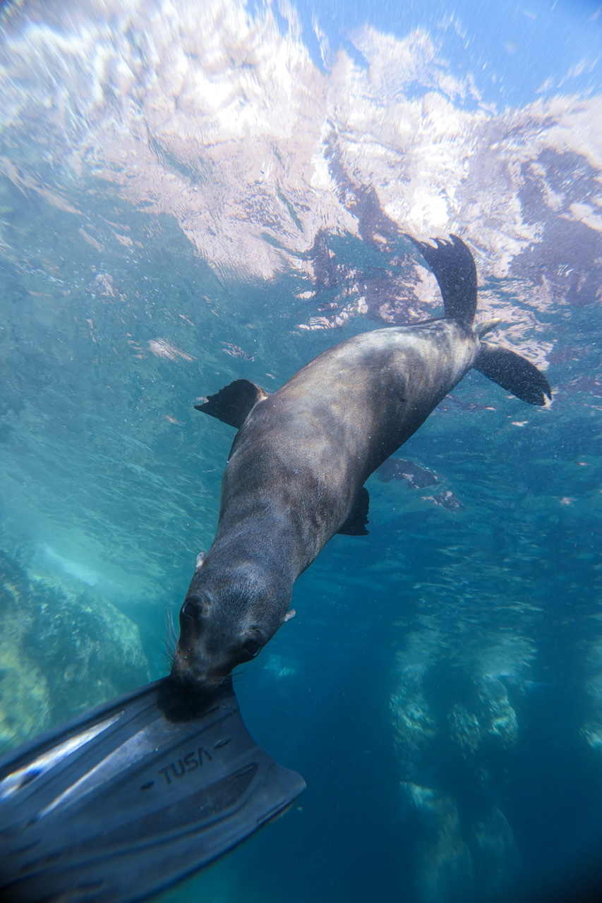 Just a little nibble