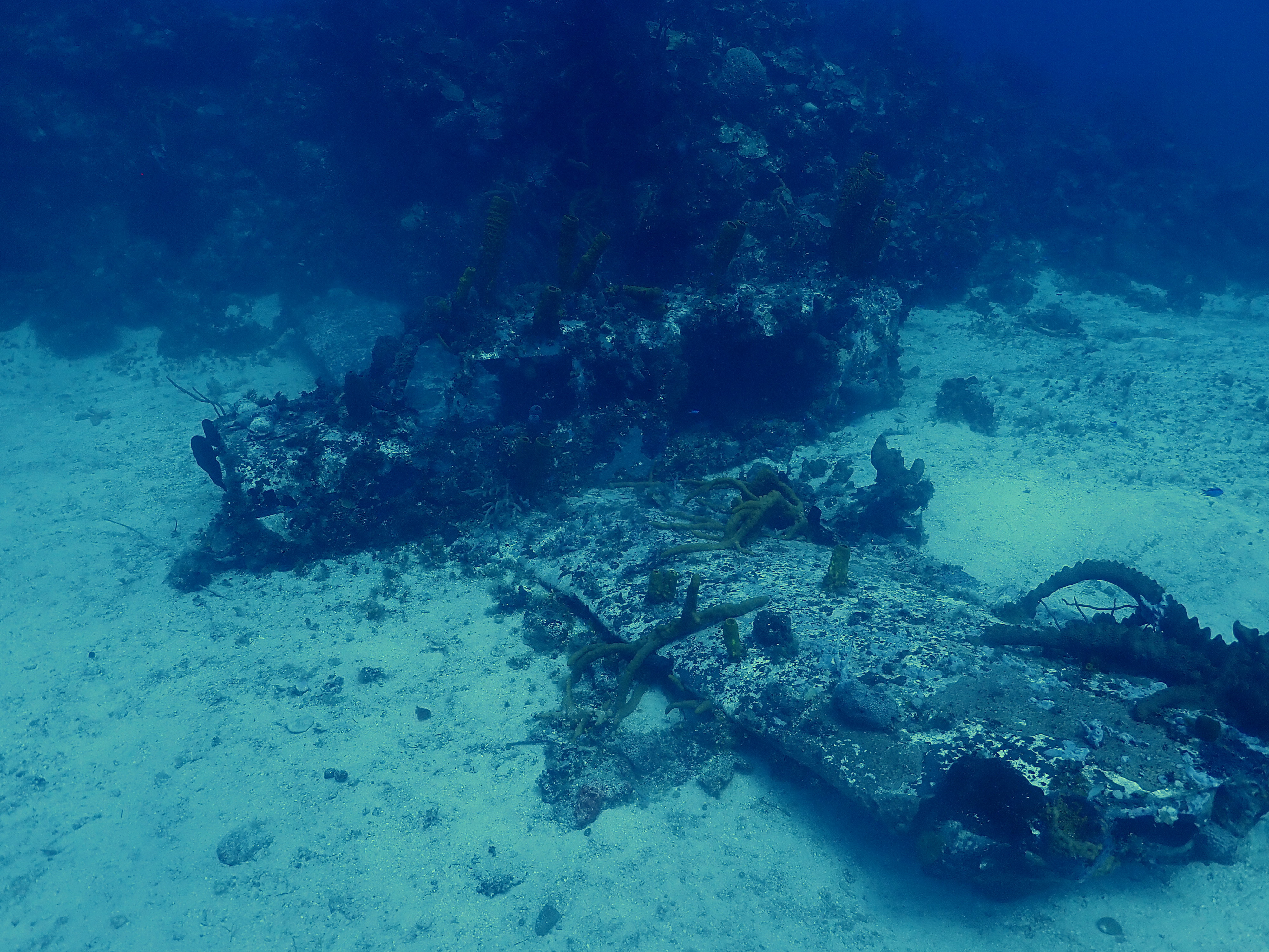 Just a plane dive site