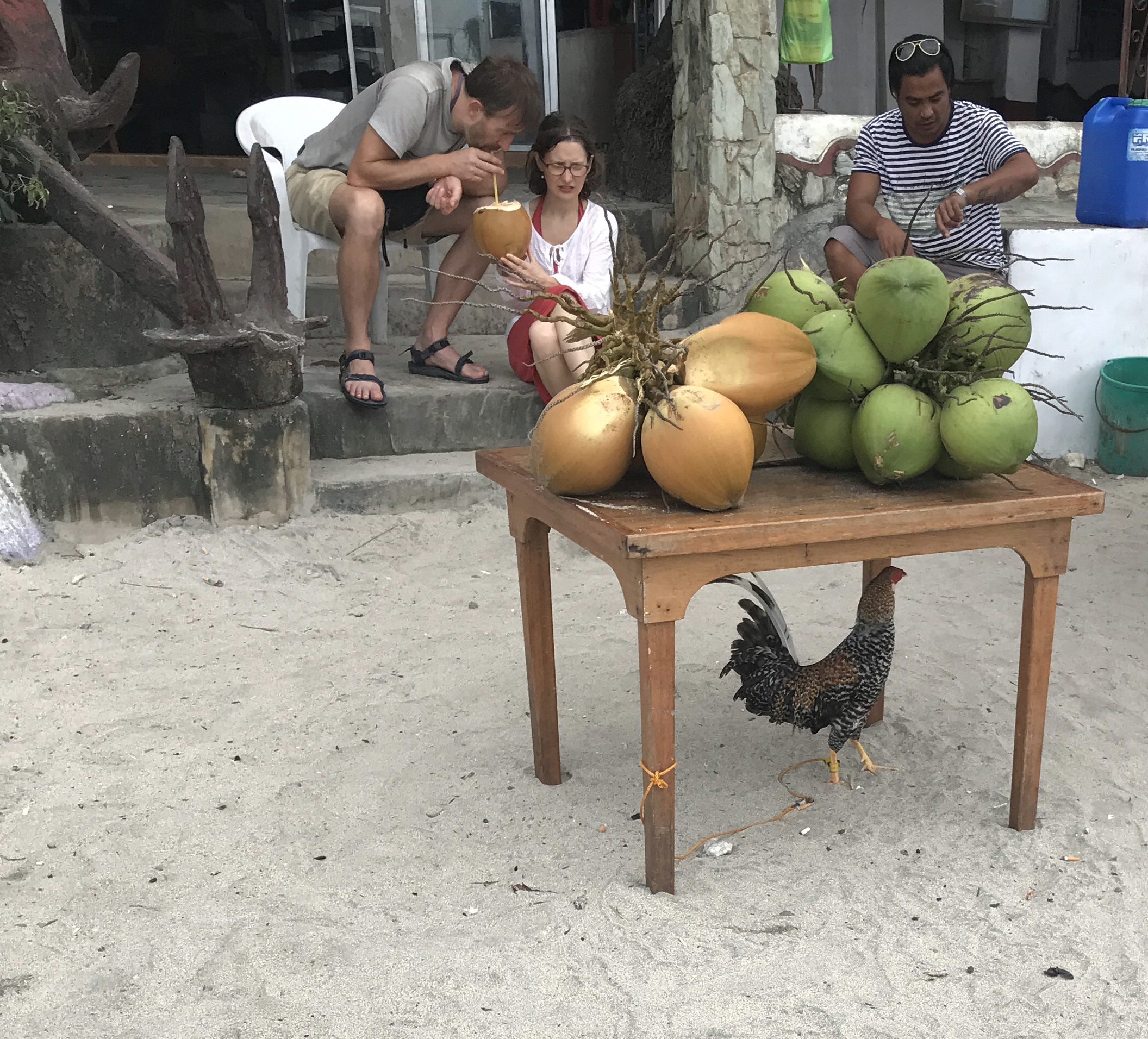 Just a rooster.  On the beach.  On a leash...