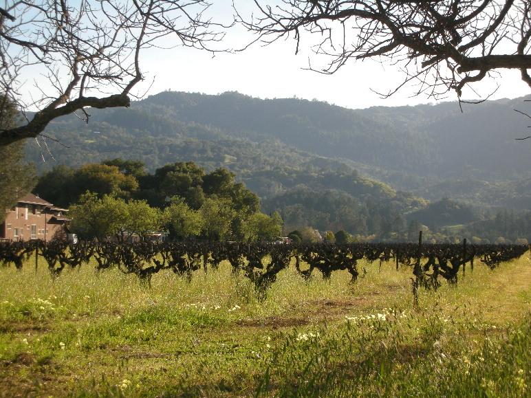 Just another crappy day in St Helena, CA