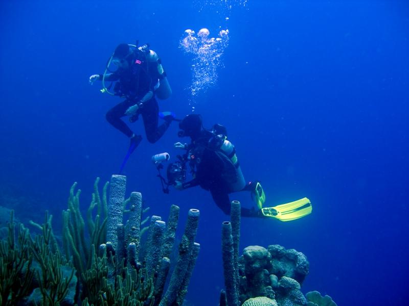 Justin and Alice Chillin Underwater