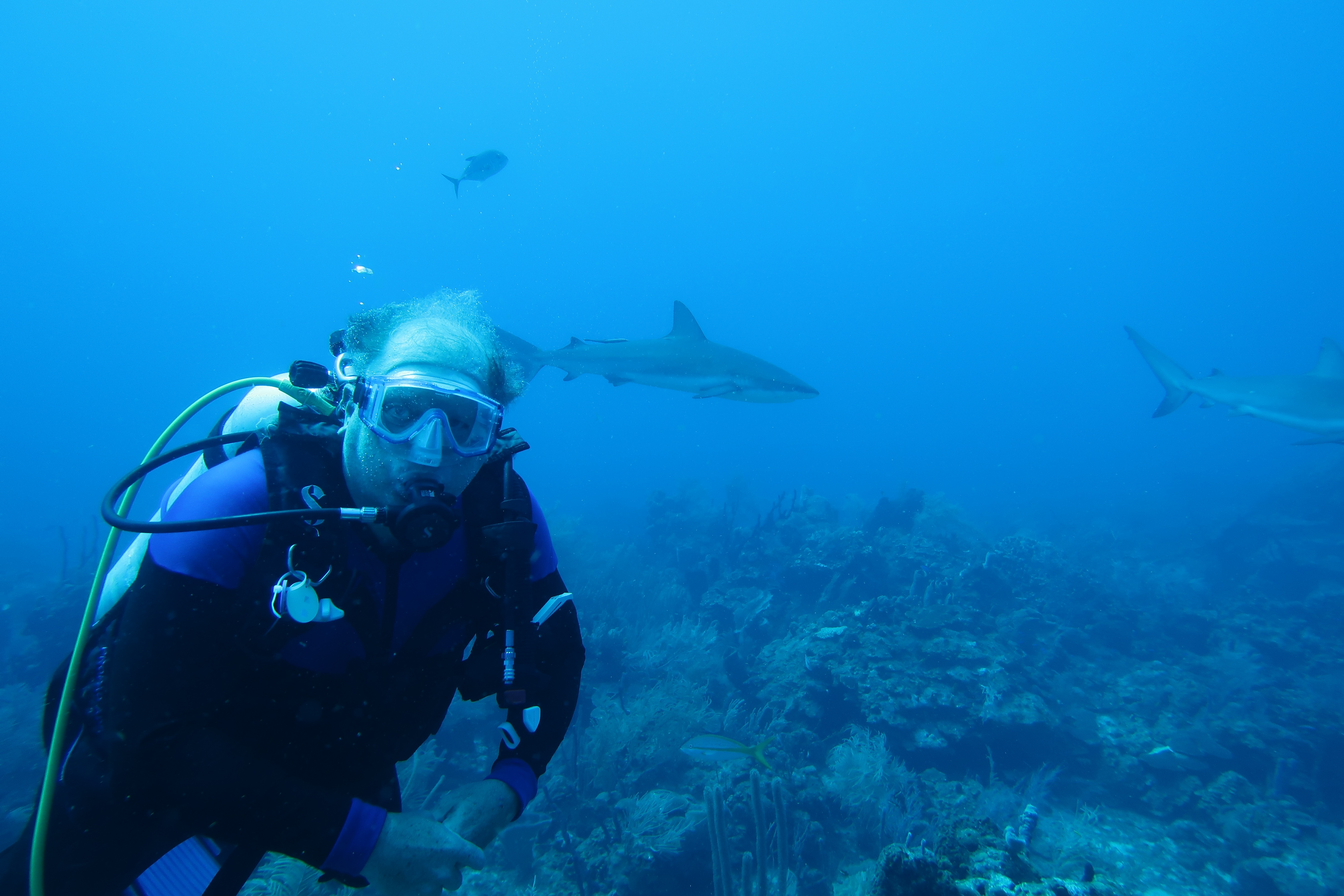 K-Jenn Diver with shark