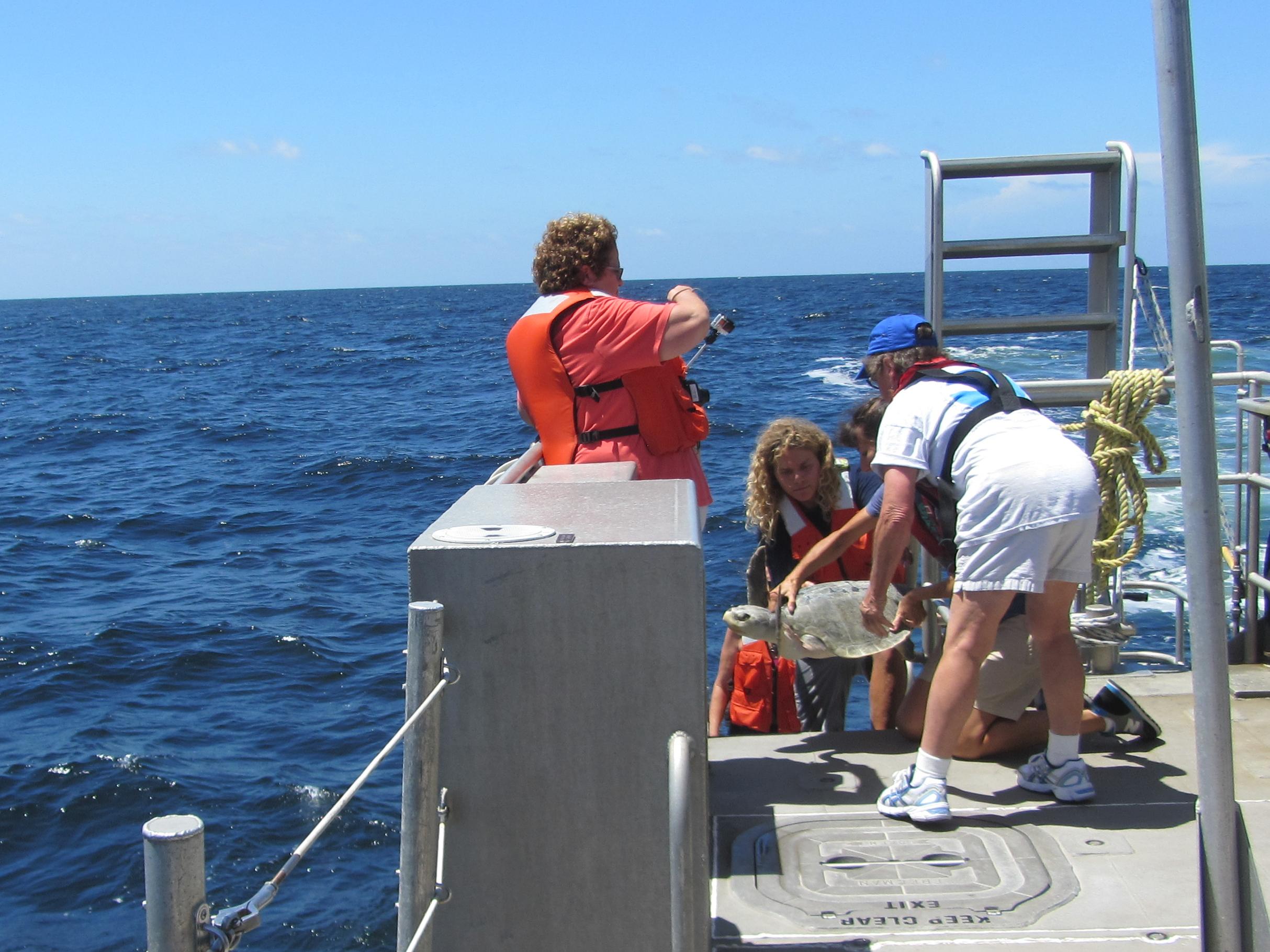 Kemps_Ridley_Release-2706