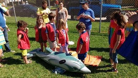 Kids 'rescuing' stranded dolphin