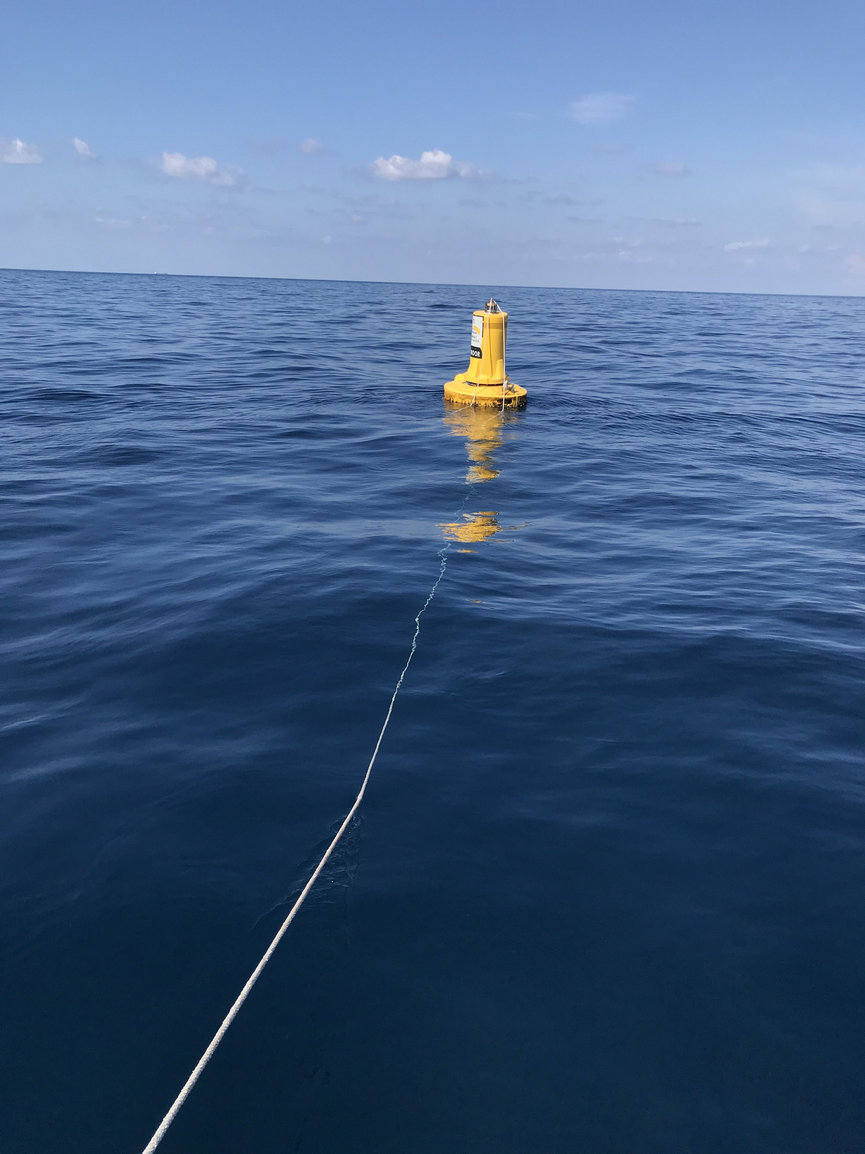 Kraken buoy