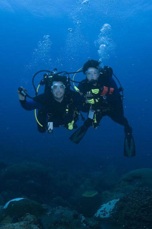 KytNut and pinkdiver