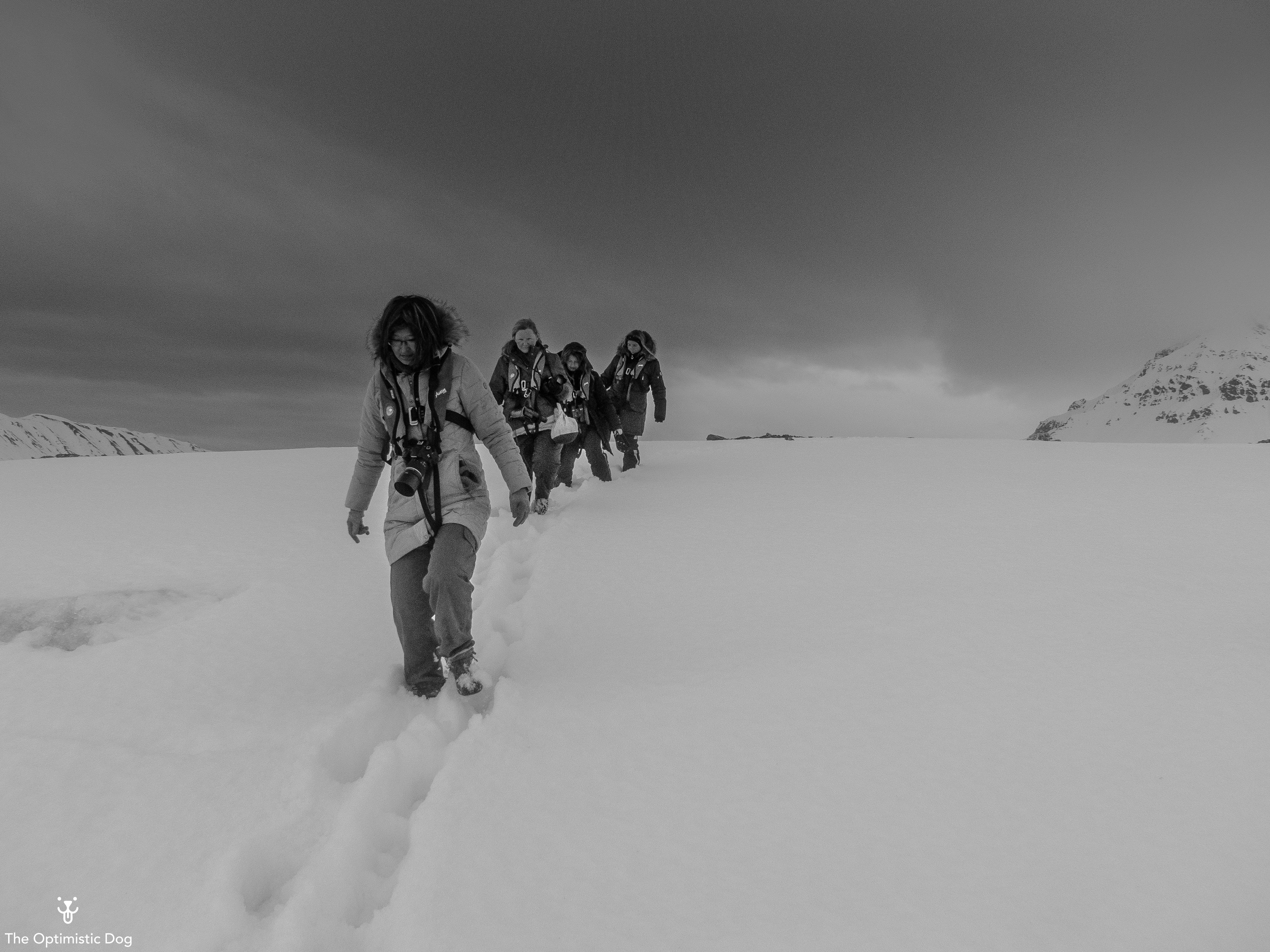 Ladies Afternoon Stroll-1