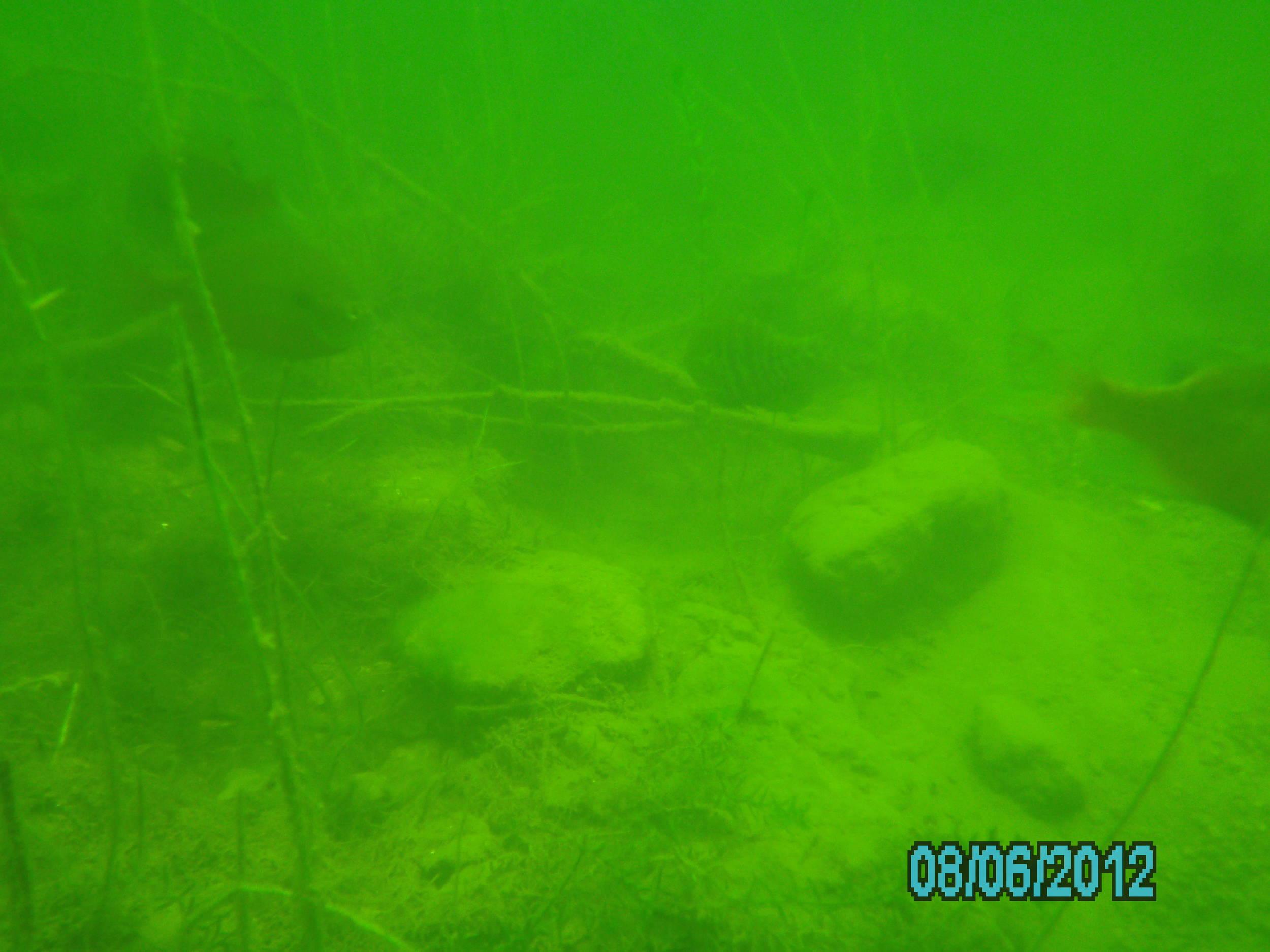 Lake 288 - August 2012