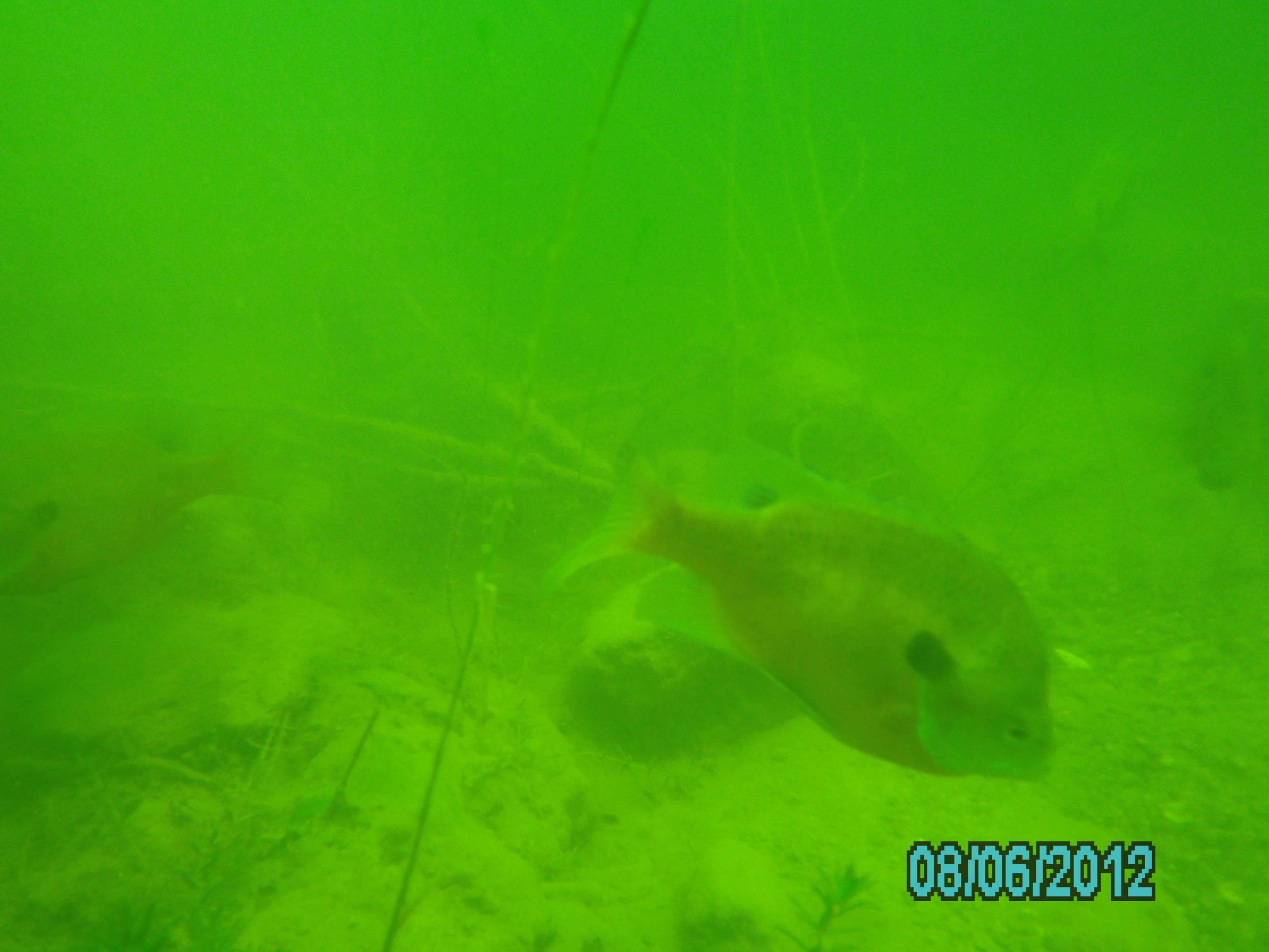 Lake 288 - August 2012