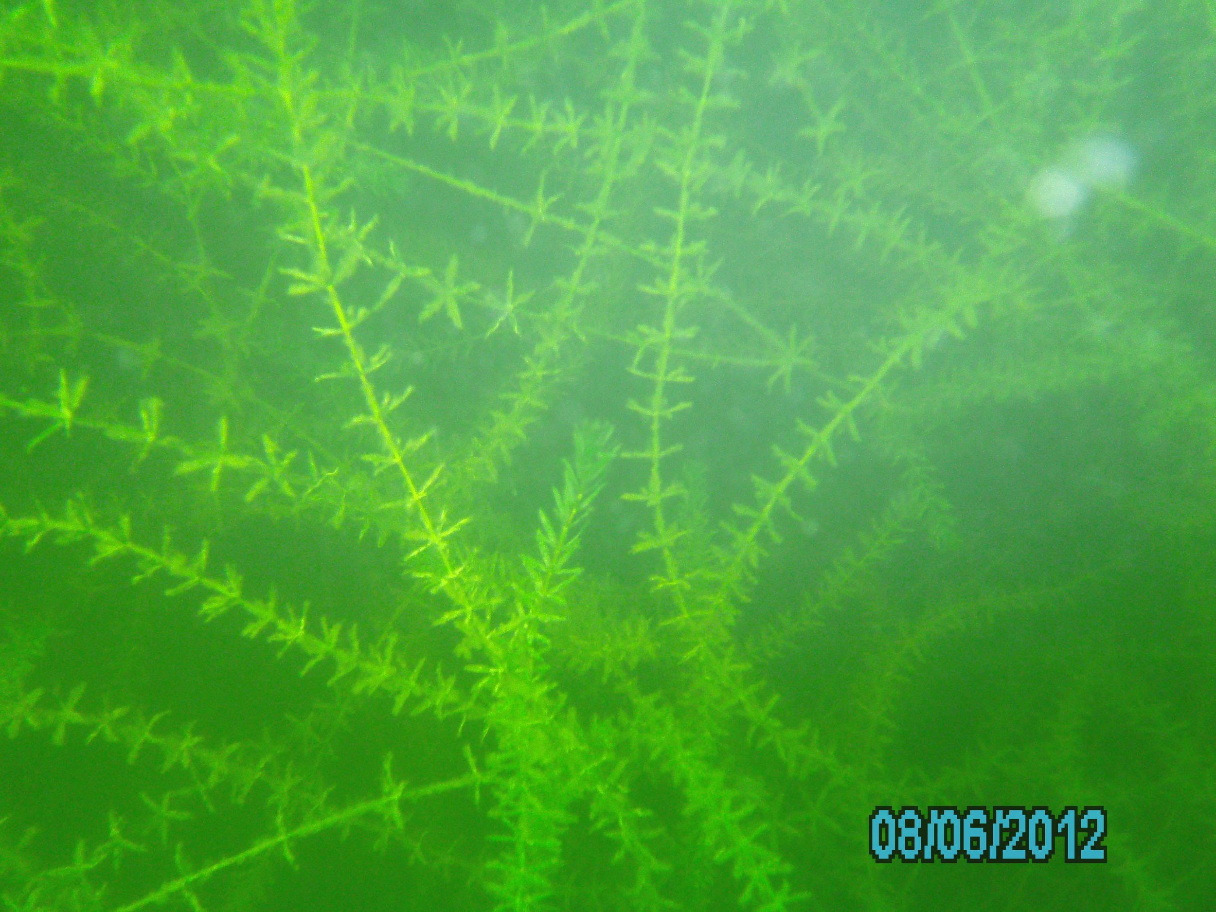 Lake 288 - August 2012