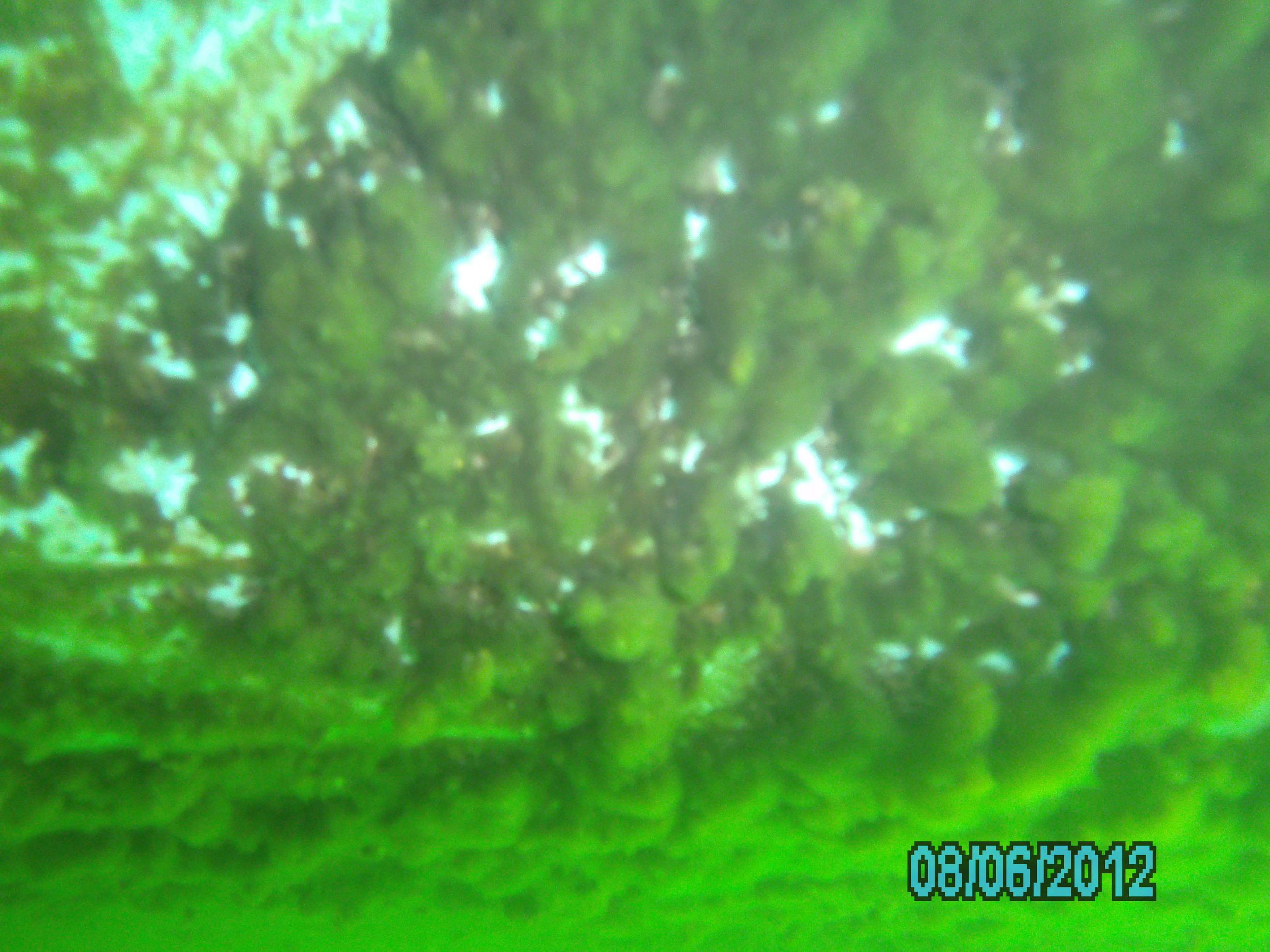 Lake 288 - August 2012