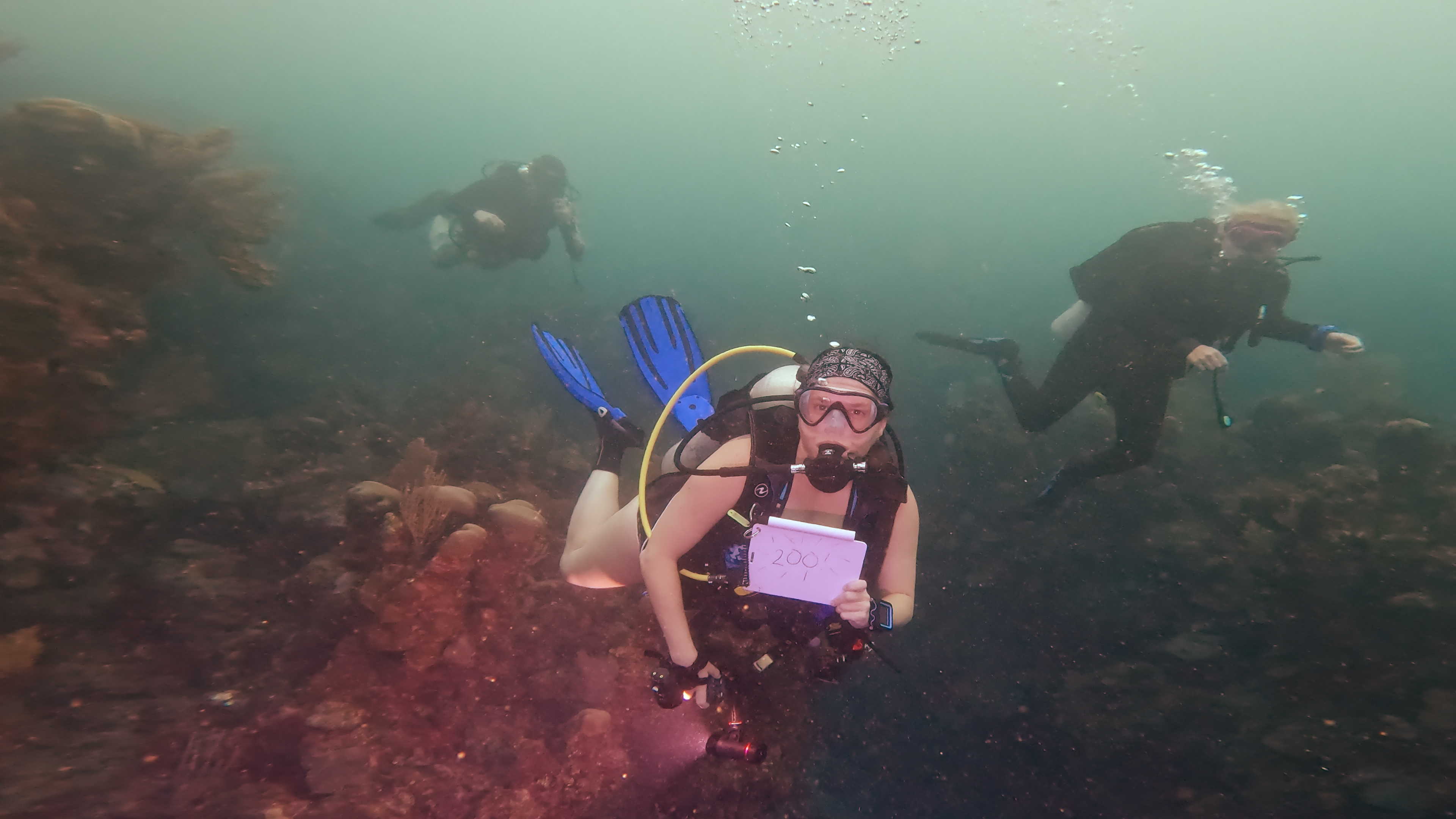 LakeDiver on her 200th Dive