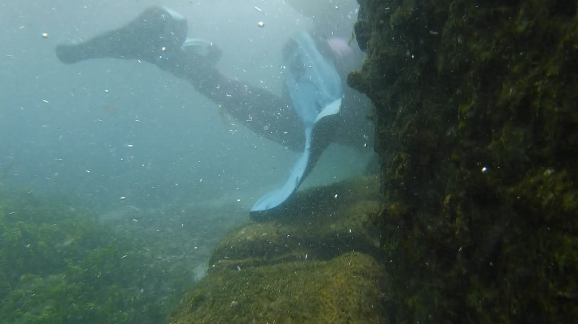 LakeDiver Rounds The Corner To Begin The Crawl To The Underwater Waterslide - MAR Comal