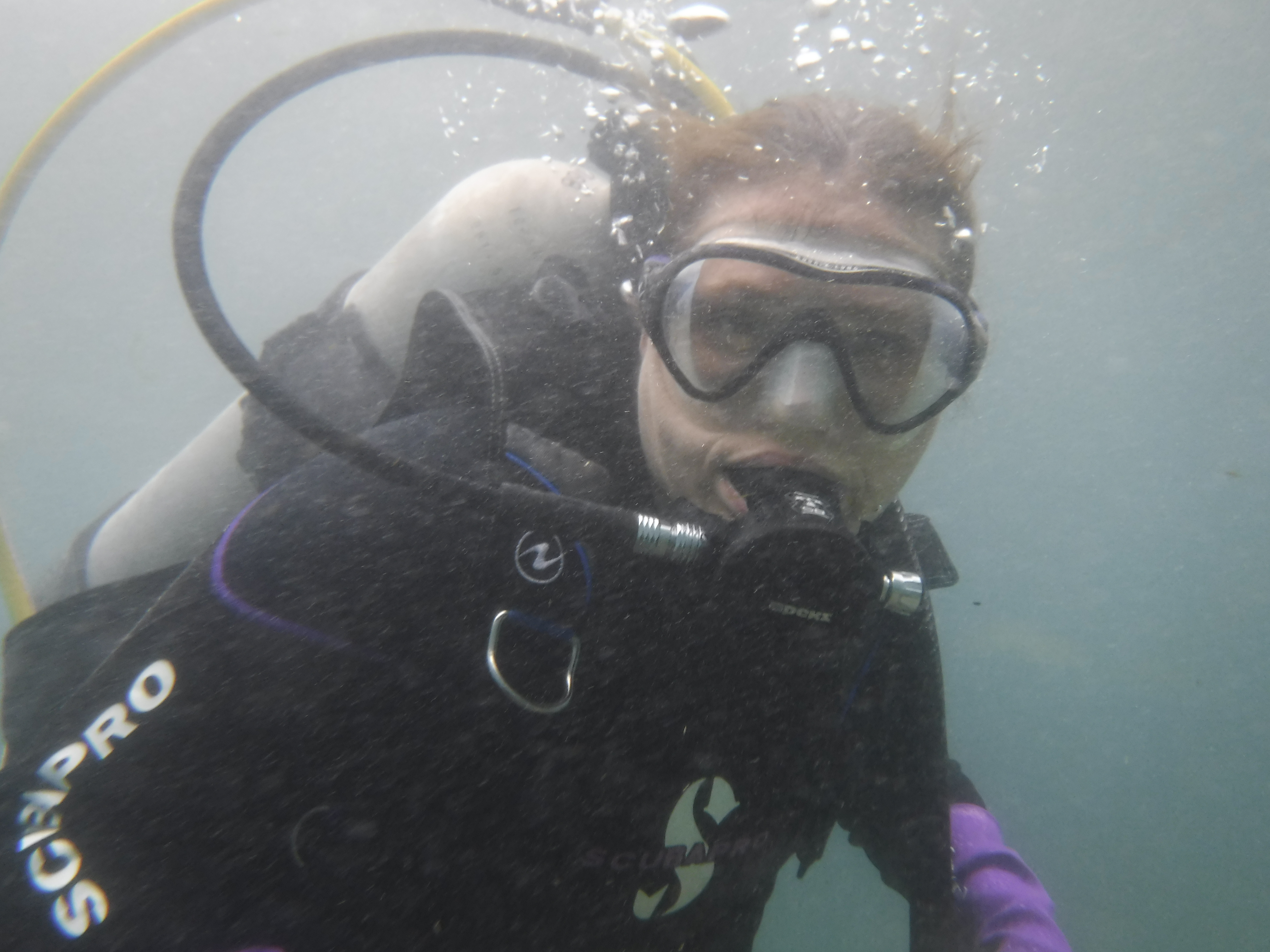 Lakediver