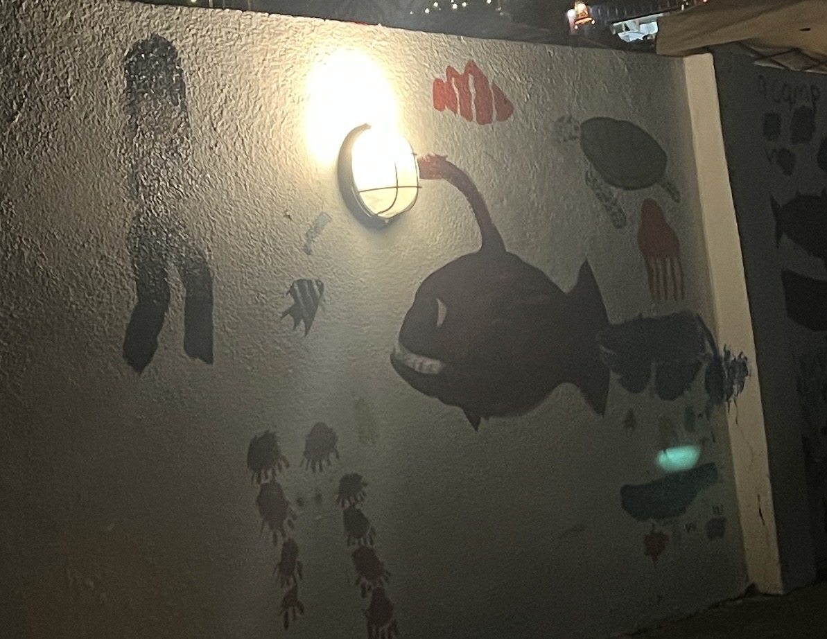 Lanternfish at night