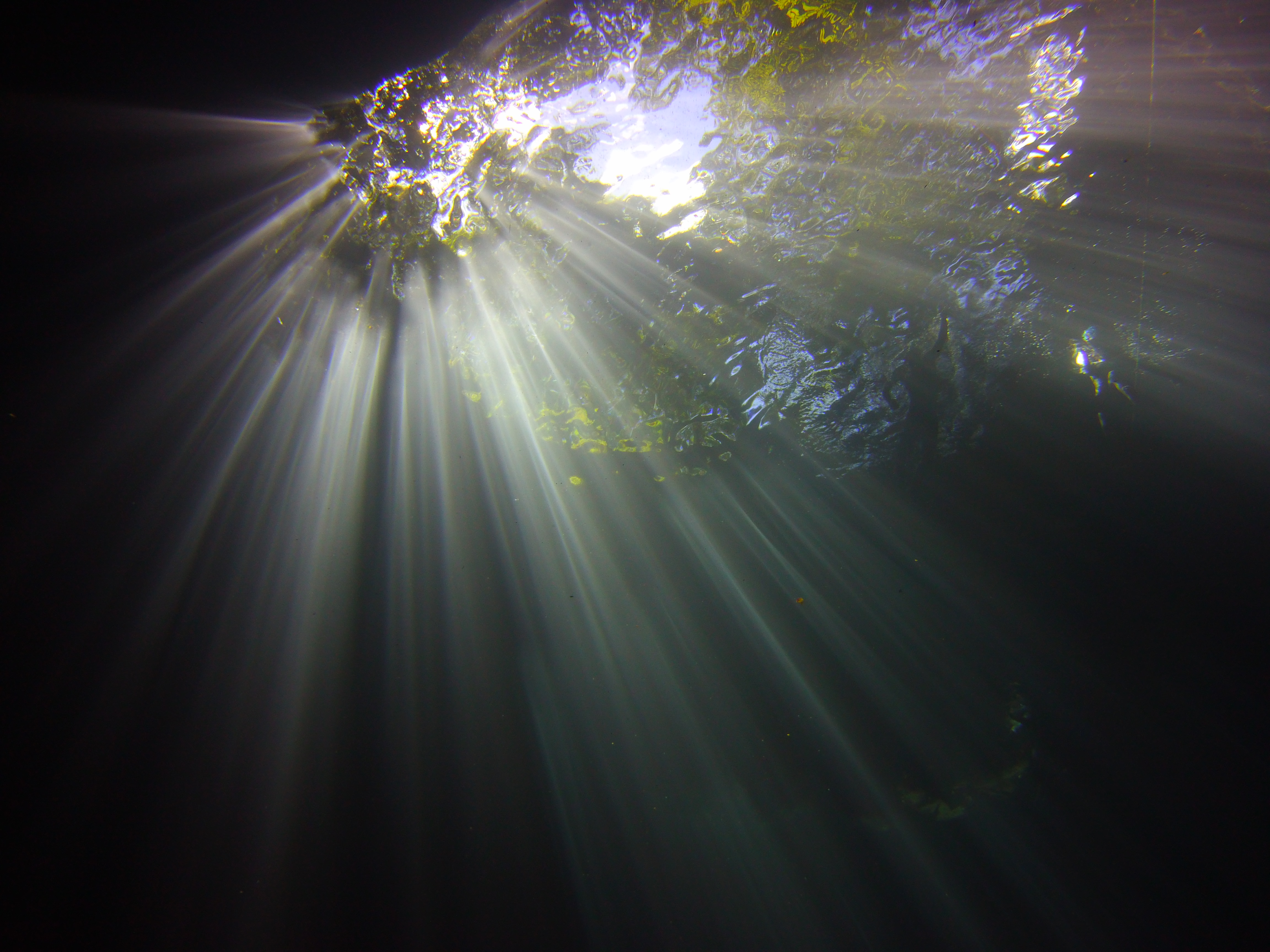 Light in a cenote