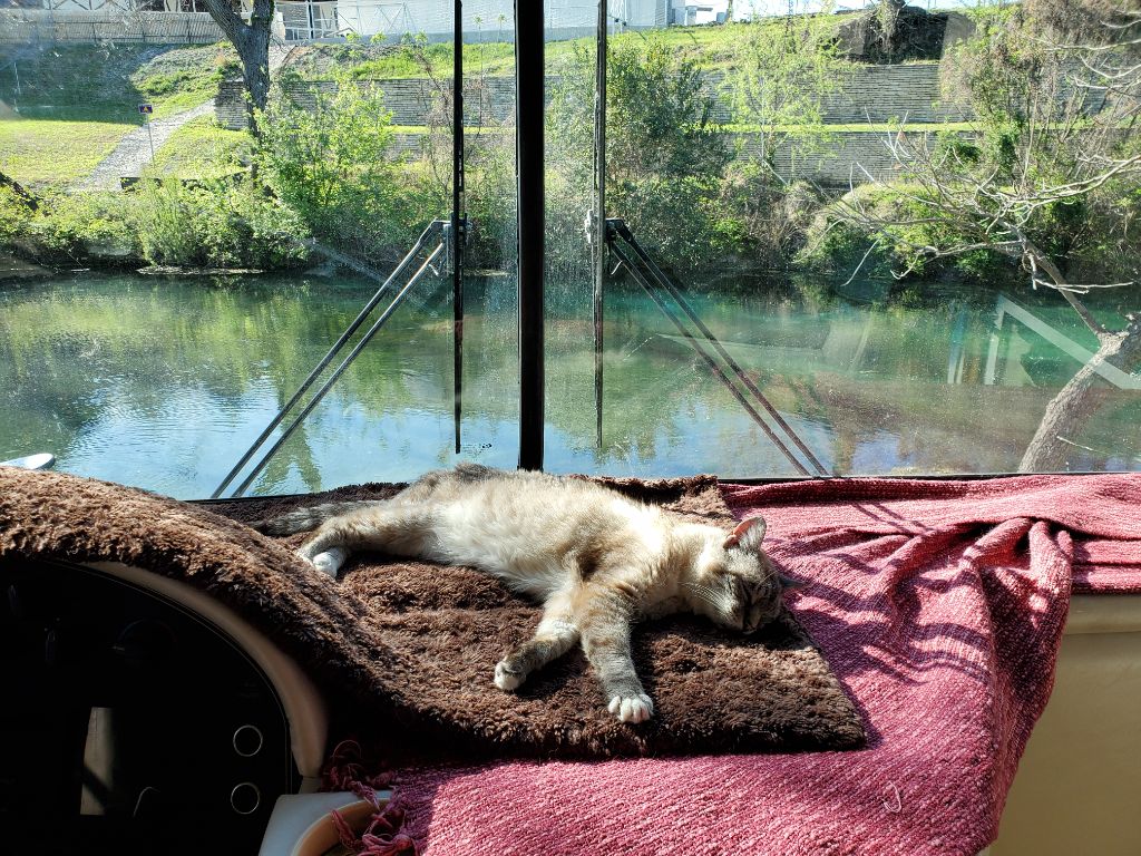 Lily is resting up for the weekend