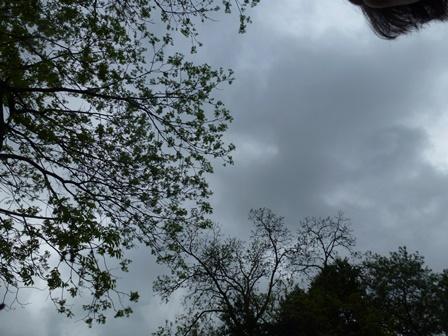 Looking like last year....