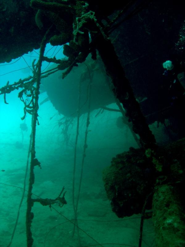 LookinguptheHookersBow