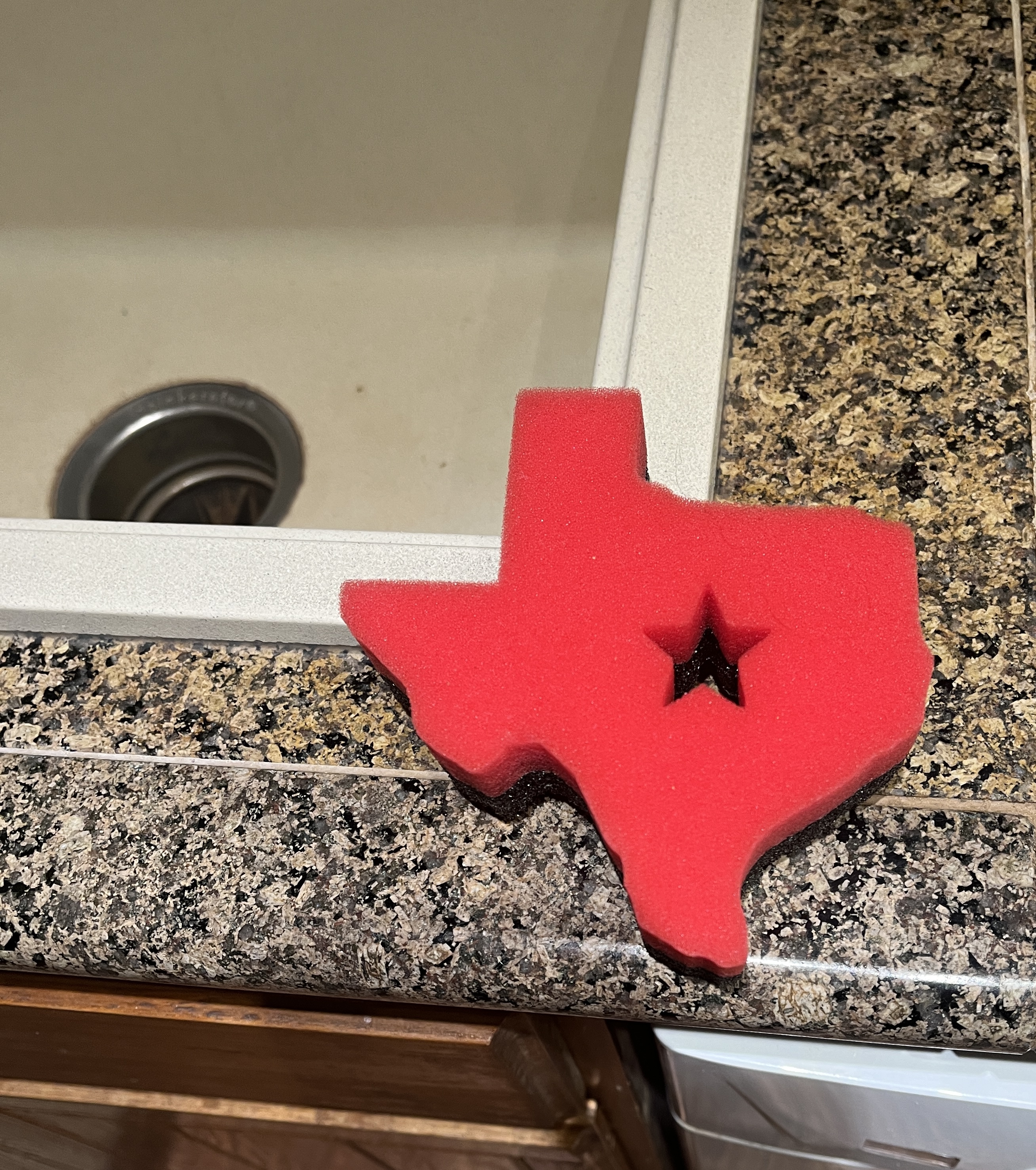 Loved the sponge at my condo