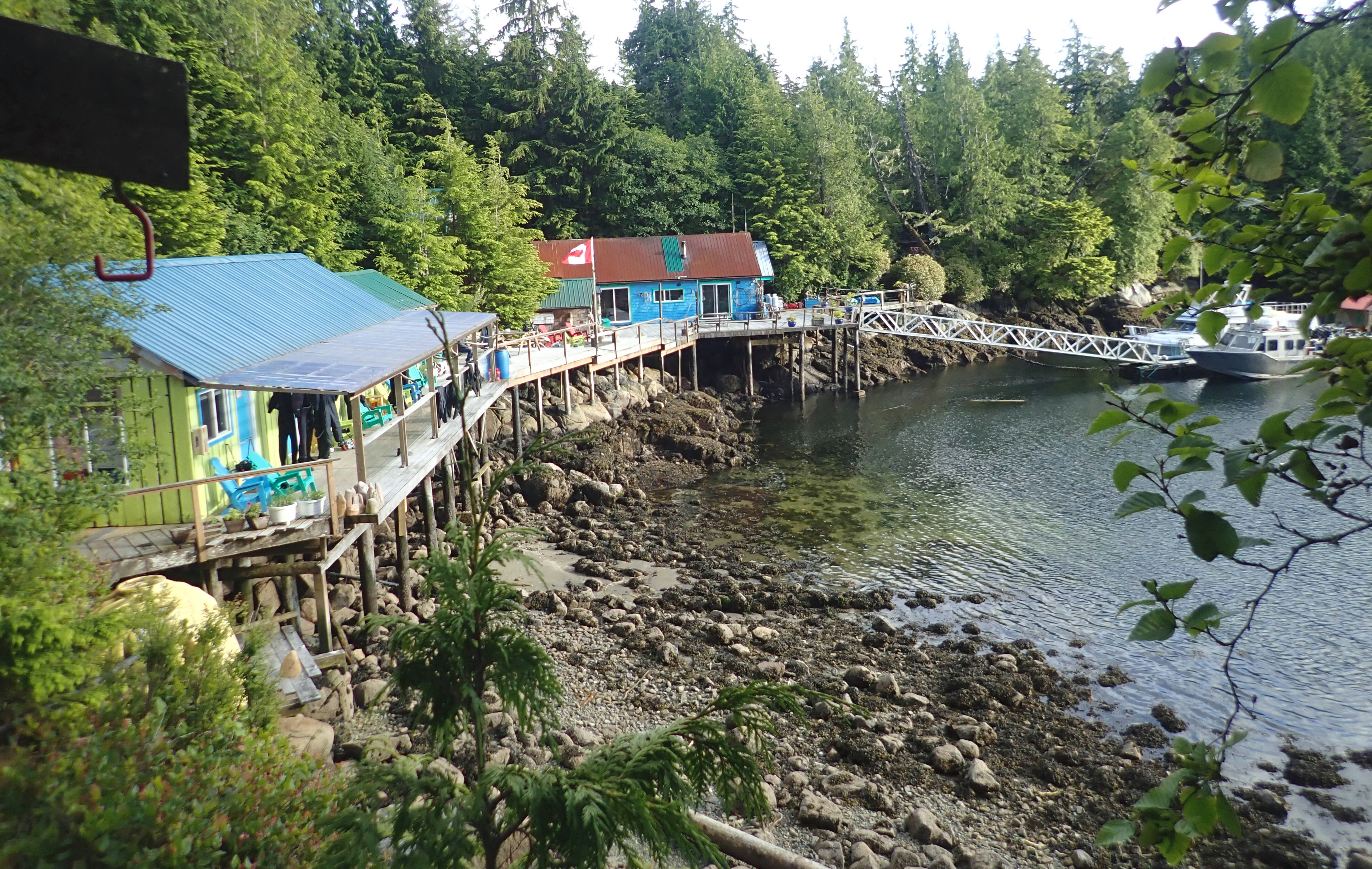 low tide