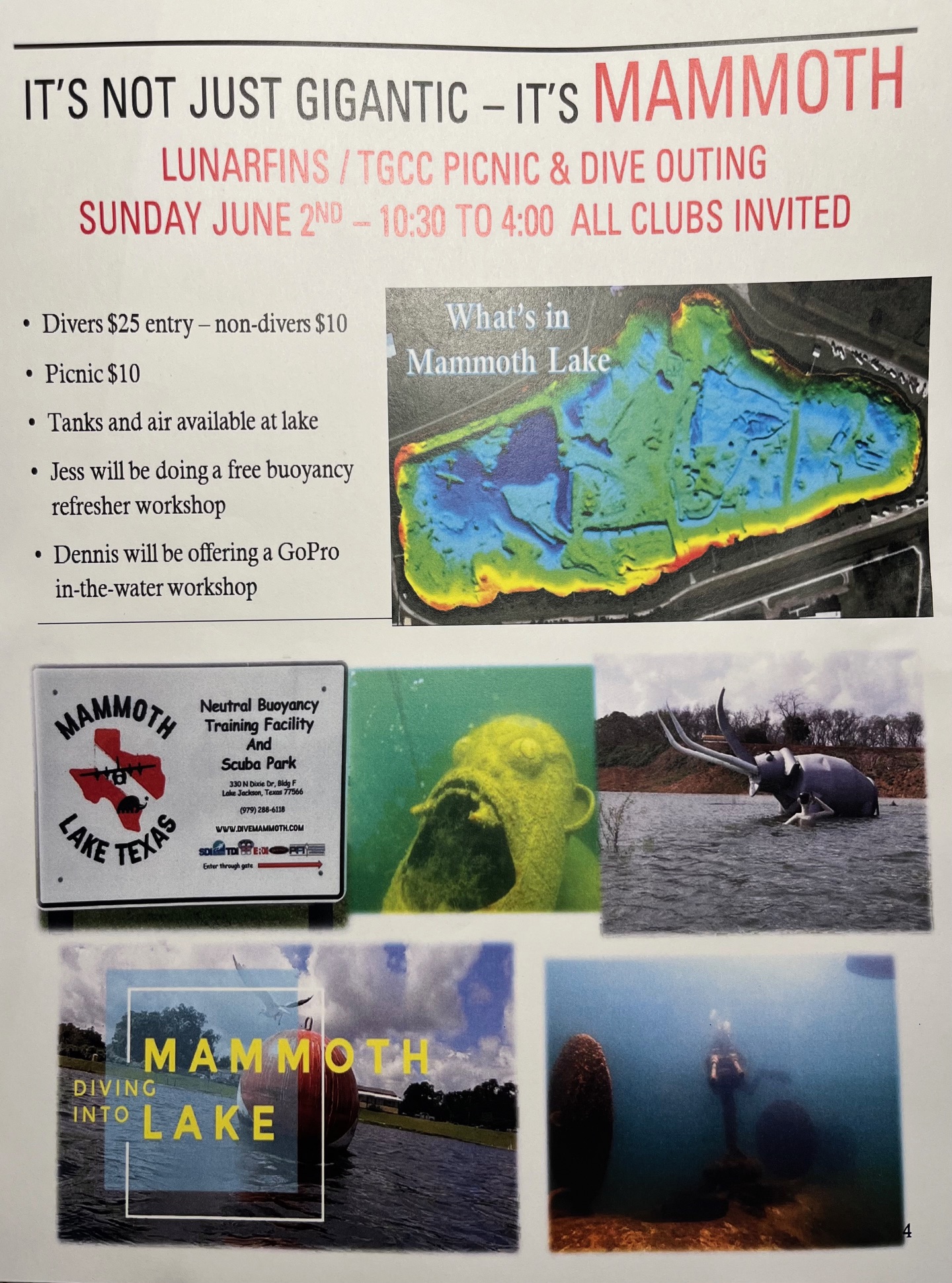 Lunarfins TGCC Dive Picnic