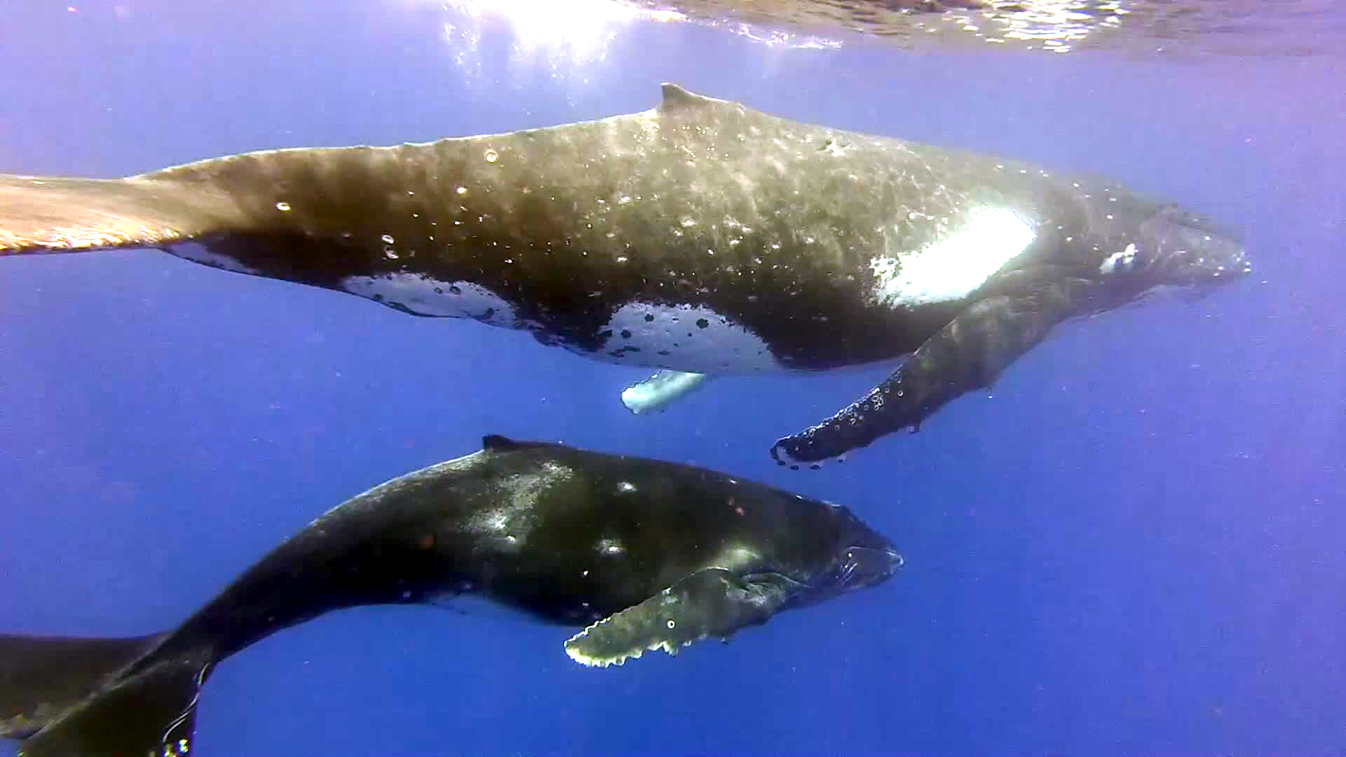 Mama and baby (higher res)