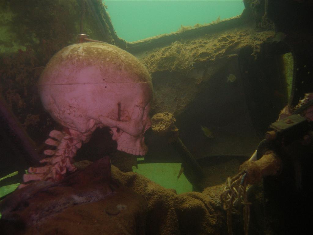 Mammoth Lake in June