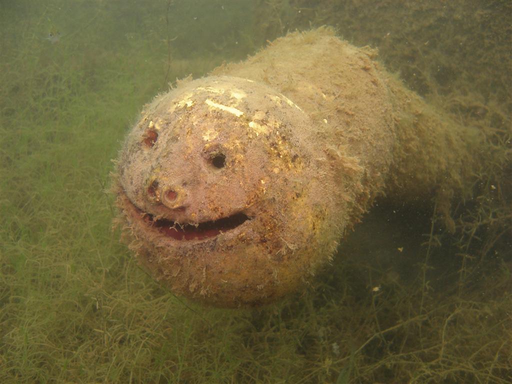 Mammoth Lake in June