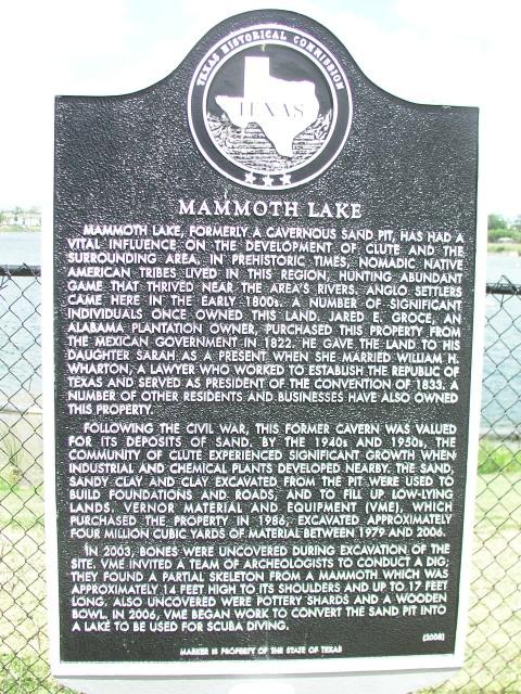 Mammoth marker